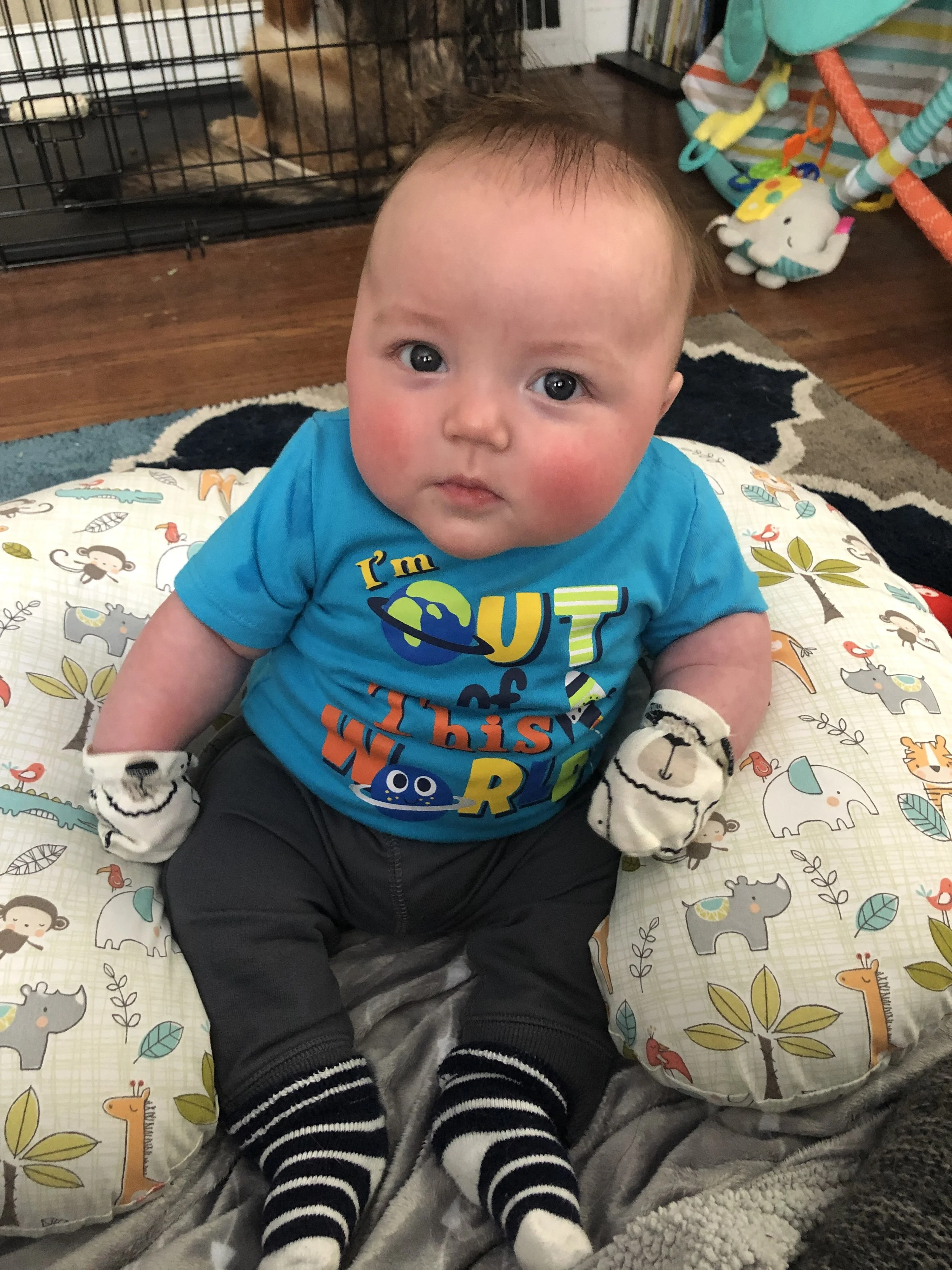 Big Milestones!