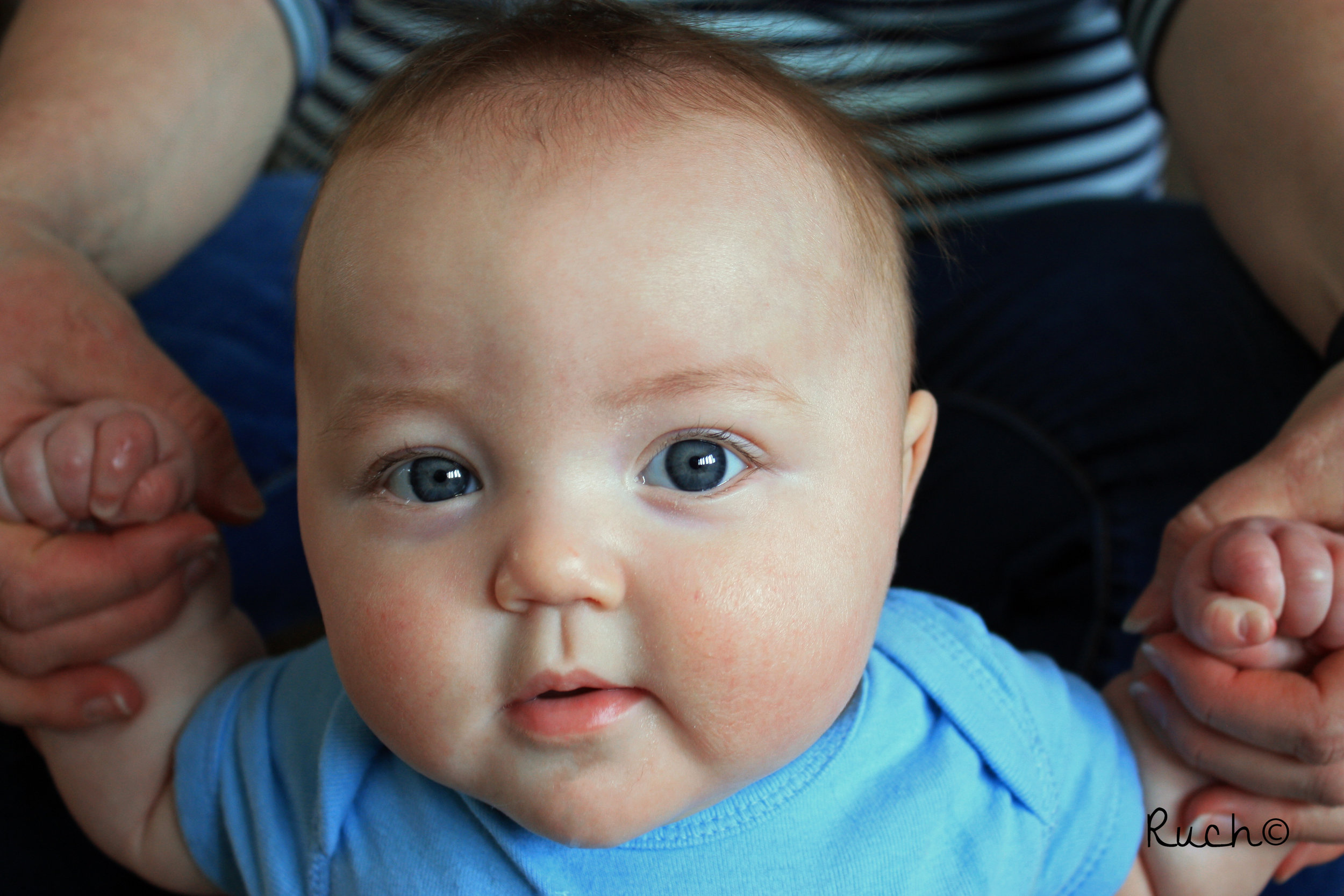 Owen is 7 months old! 