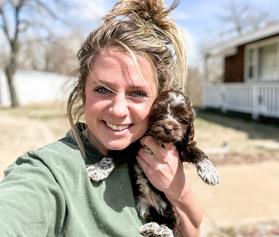 Doodles Of Oz Kansas Dog Breeder Bernedoodles, Aussie Doodles