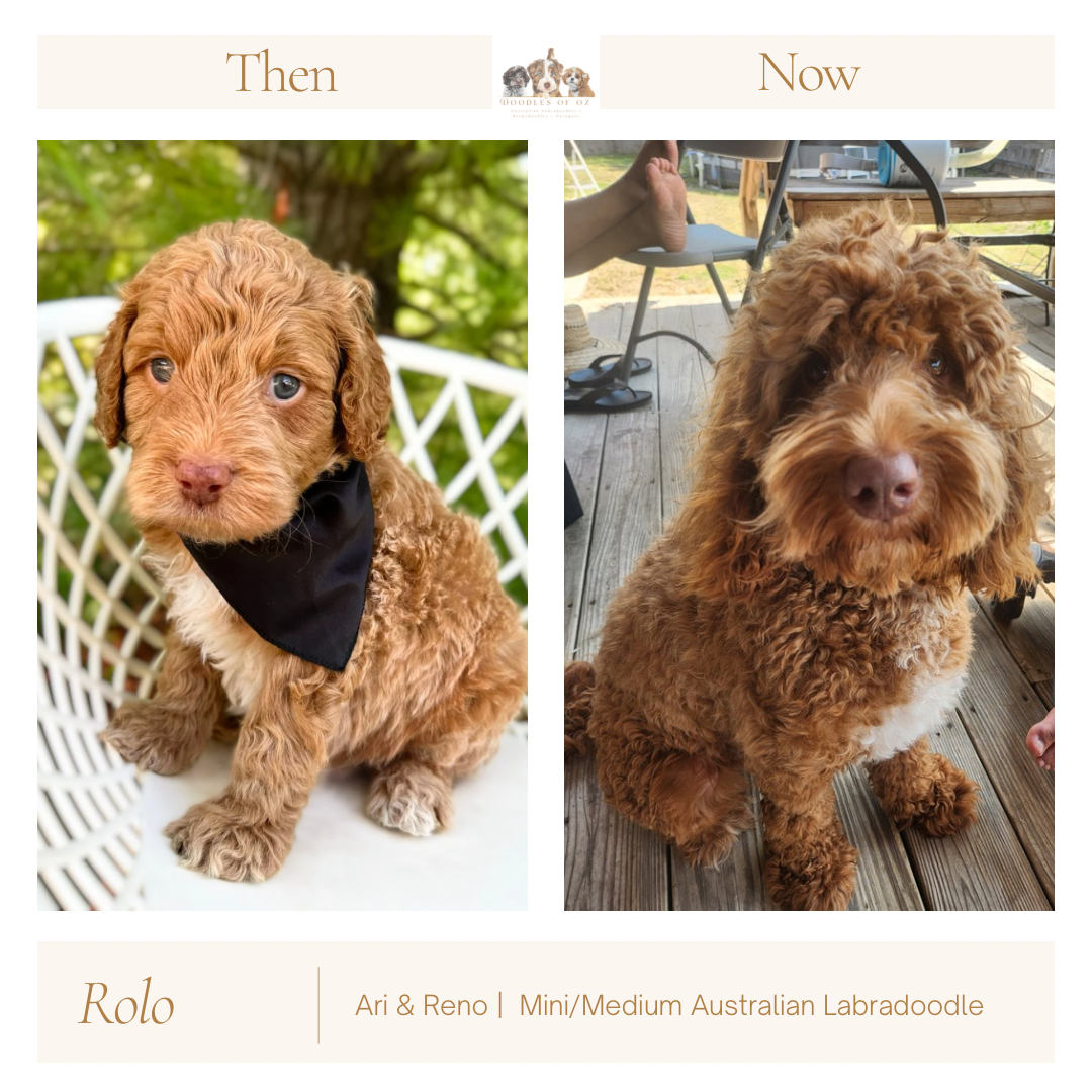 Neutral Before and After Instagram Post.png