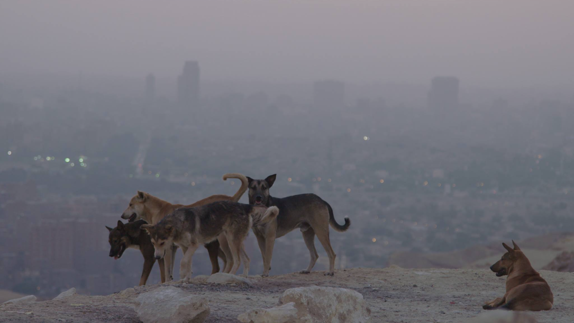 Снимок экрана 2017-08-07 в 21.35.51.png