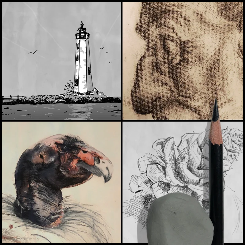 Level 1 - Fundamentals of Drawing 800.jpg