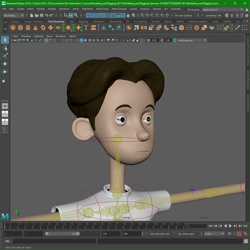 Introduction to Rigging — The Animation Course