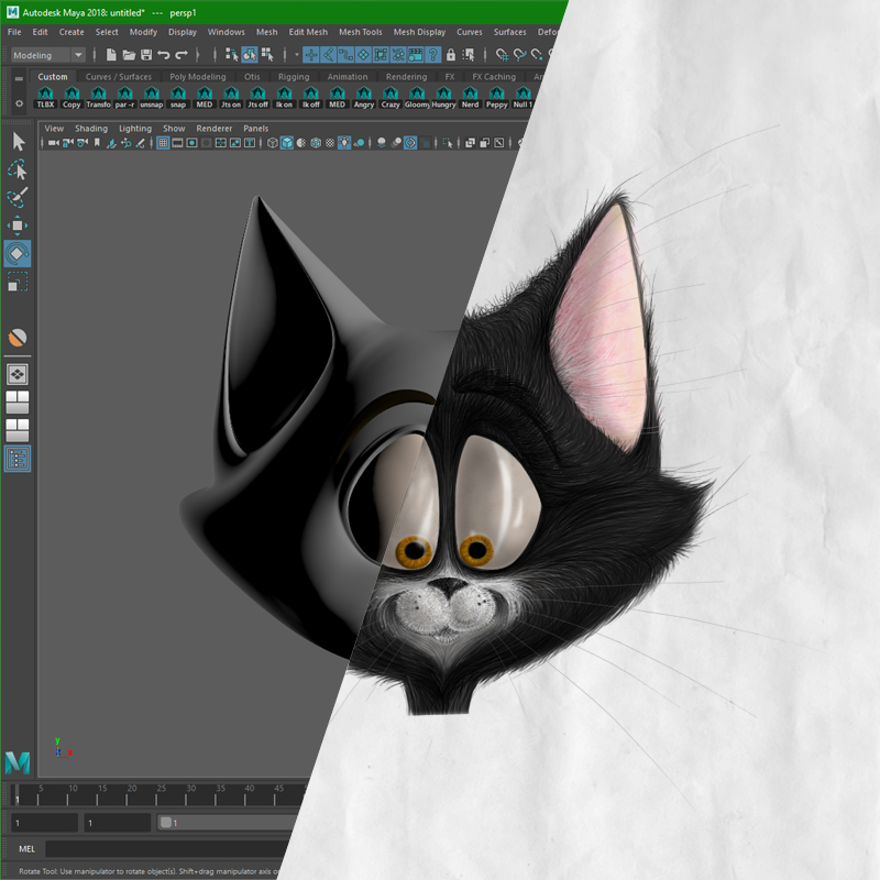 CAT: Continual Animation Training — The Animation Course