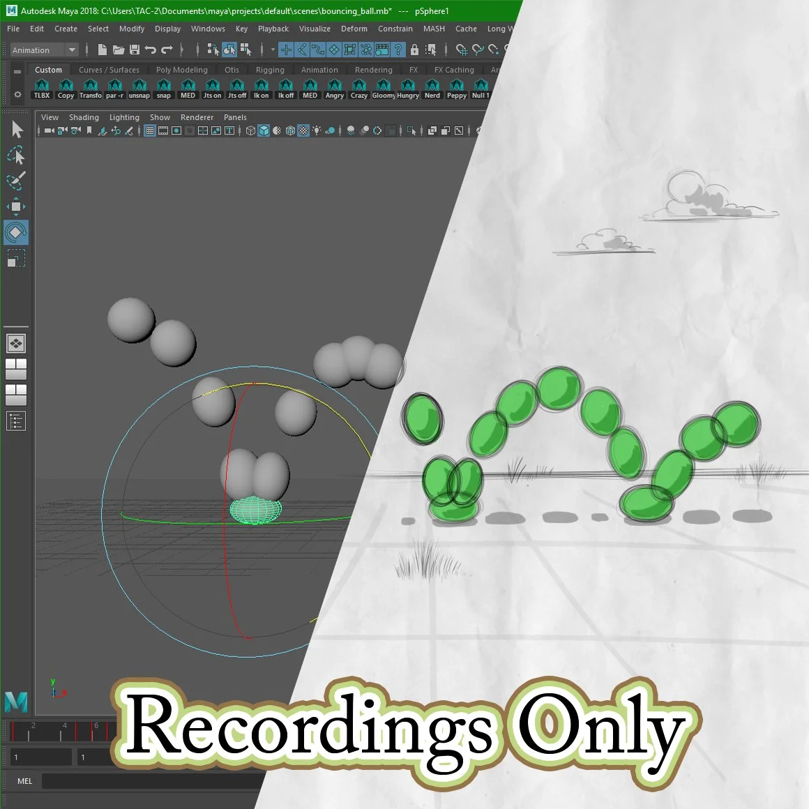 Level 1 800 Recordings Only.jpg