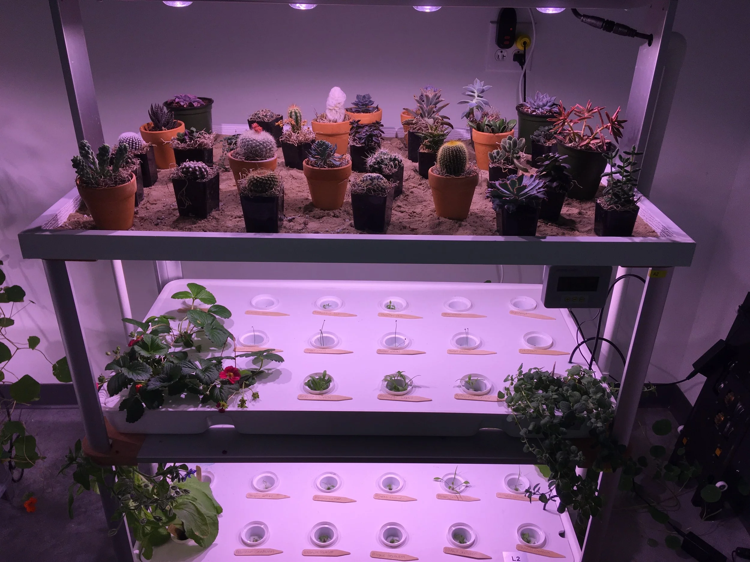 LF-ONE with the optional Geoponic tray growing cactus and succulents while the bottom two trays are growing various plants hydroponically. The quintessential juxtaposition!
