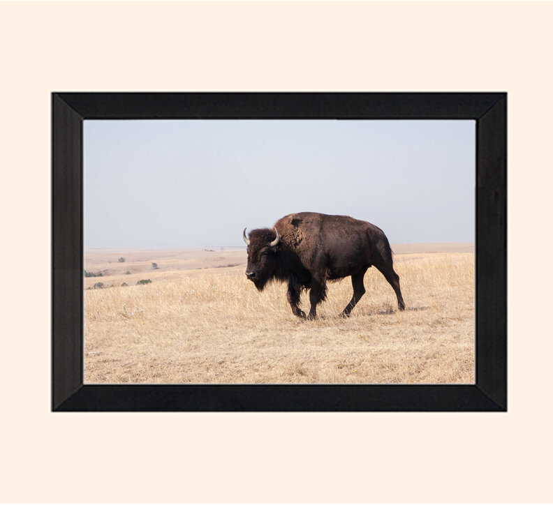 Framed Sample