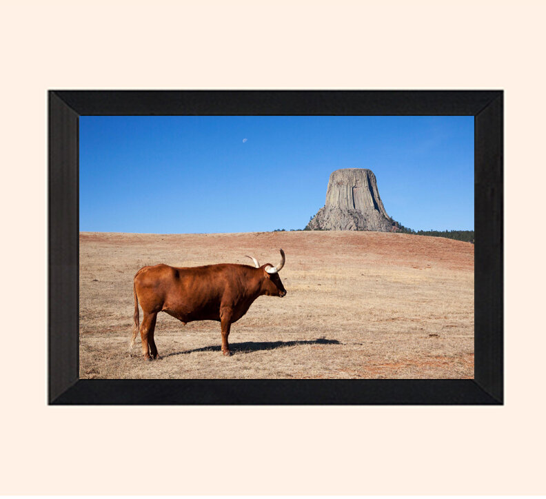 devilstowerframed.jpg