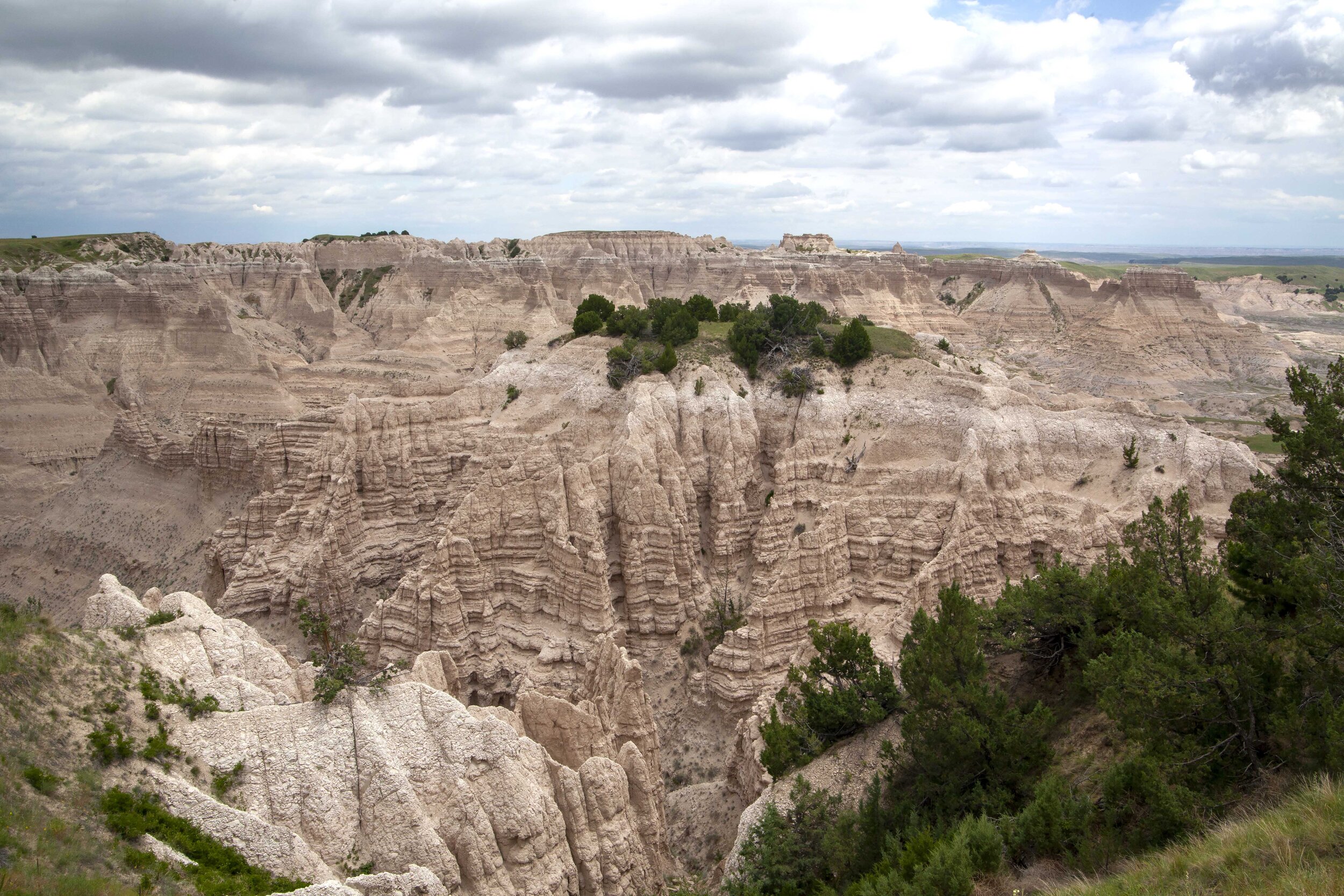 _MG_8378.jpg