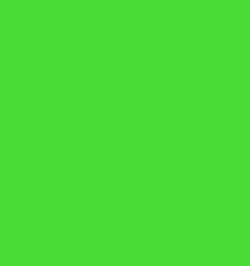 Bright%2Bgreen%2Bbackground.jpg