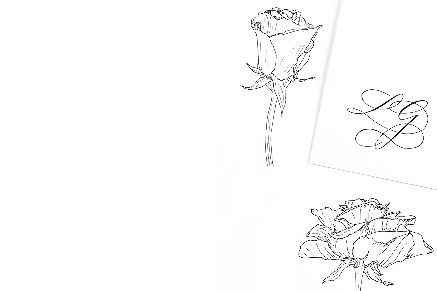Portfolio.png