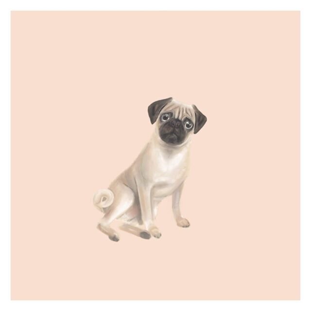 I did my first digital painting back in February of my wonderful friends&rsquo; pug, Paul. Isn&rsquo;t Paul an excellent name for a French Canadian pug? 😍&hearts;️ He&rsquo;s the cutest!