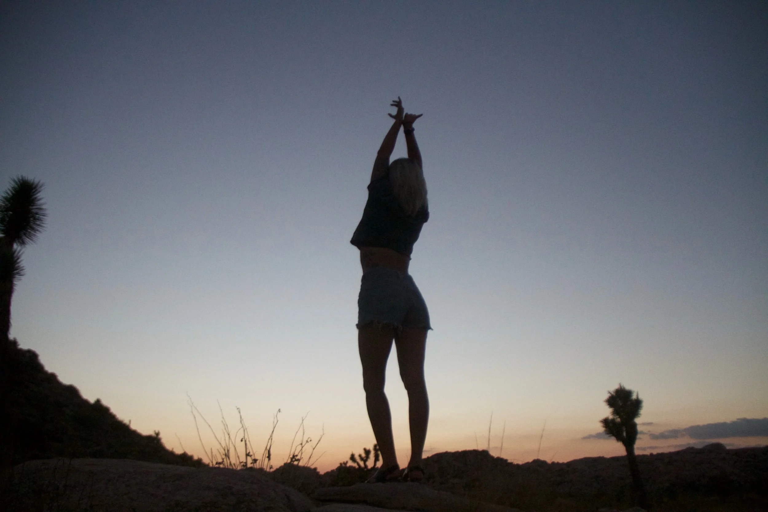 Into the night