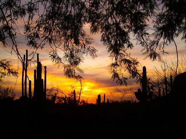 Sunsets