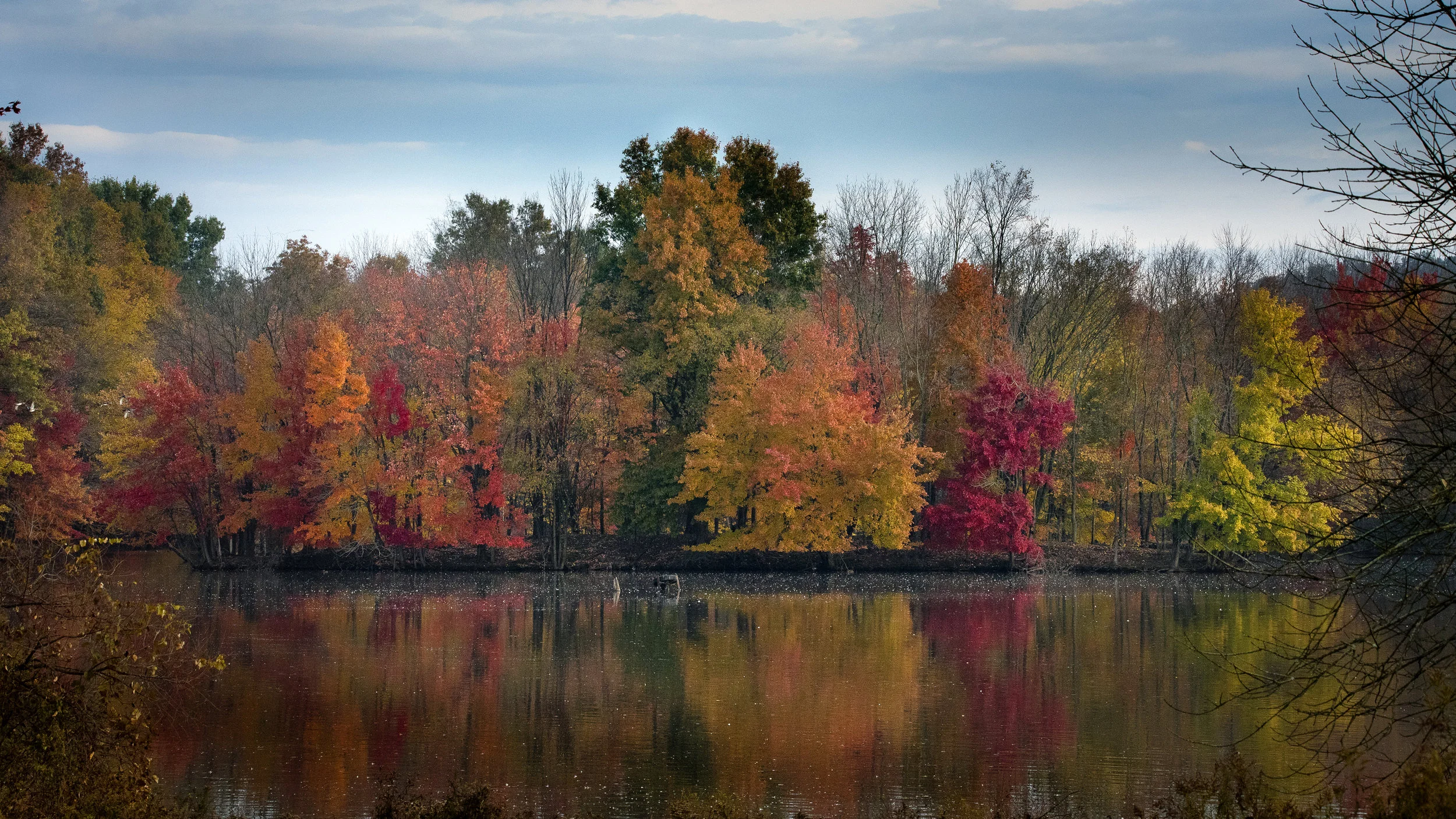 Color Palette