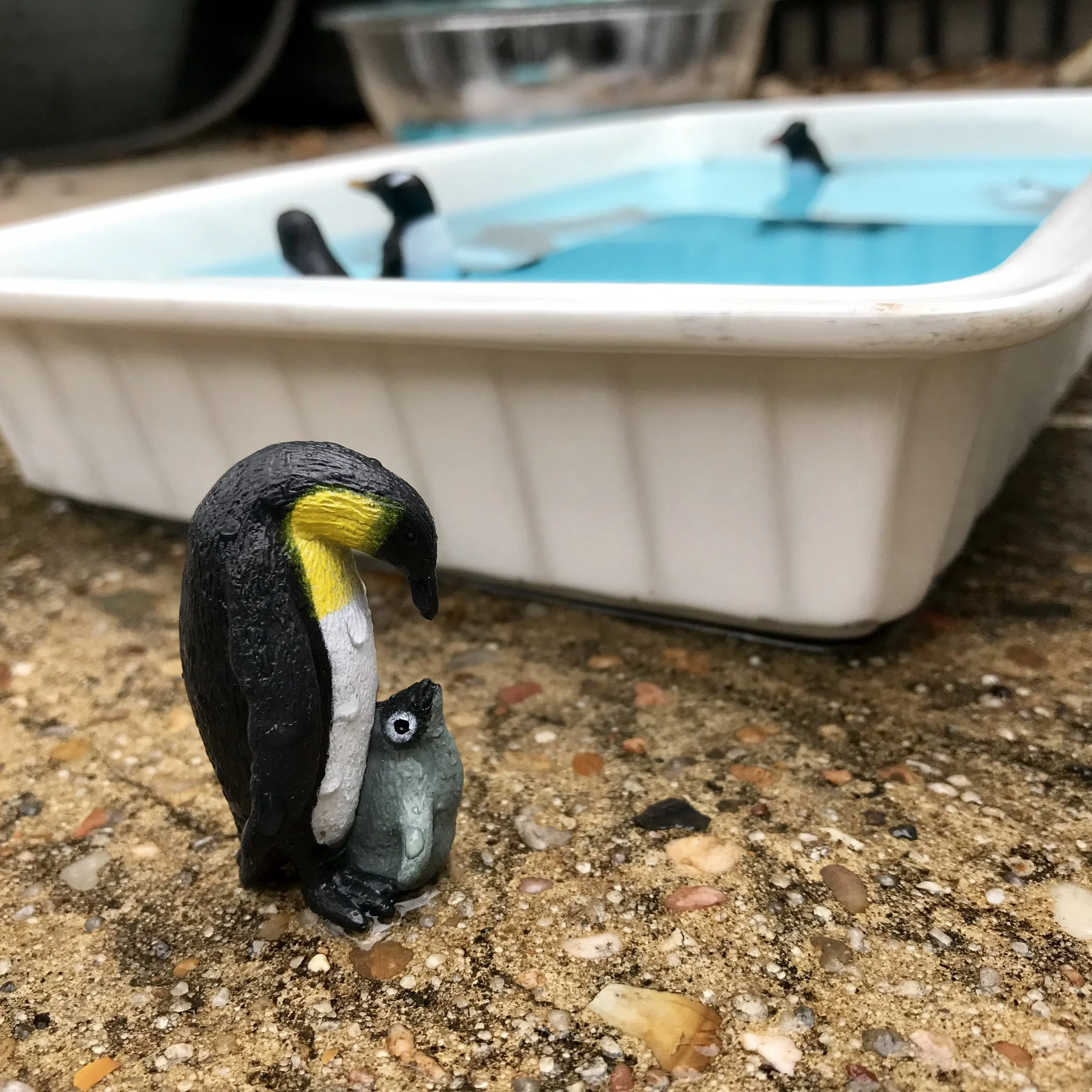 iphone Jan 2019–043.JPG