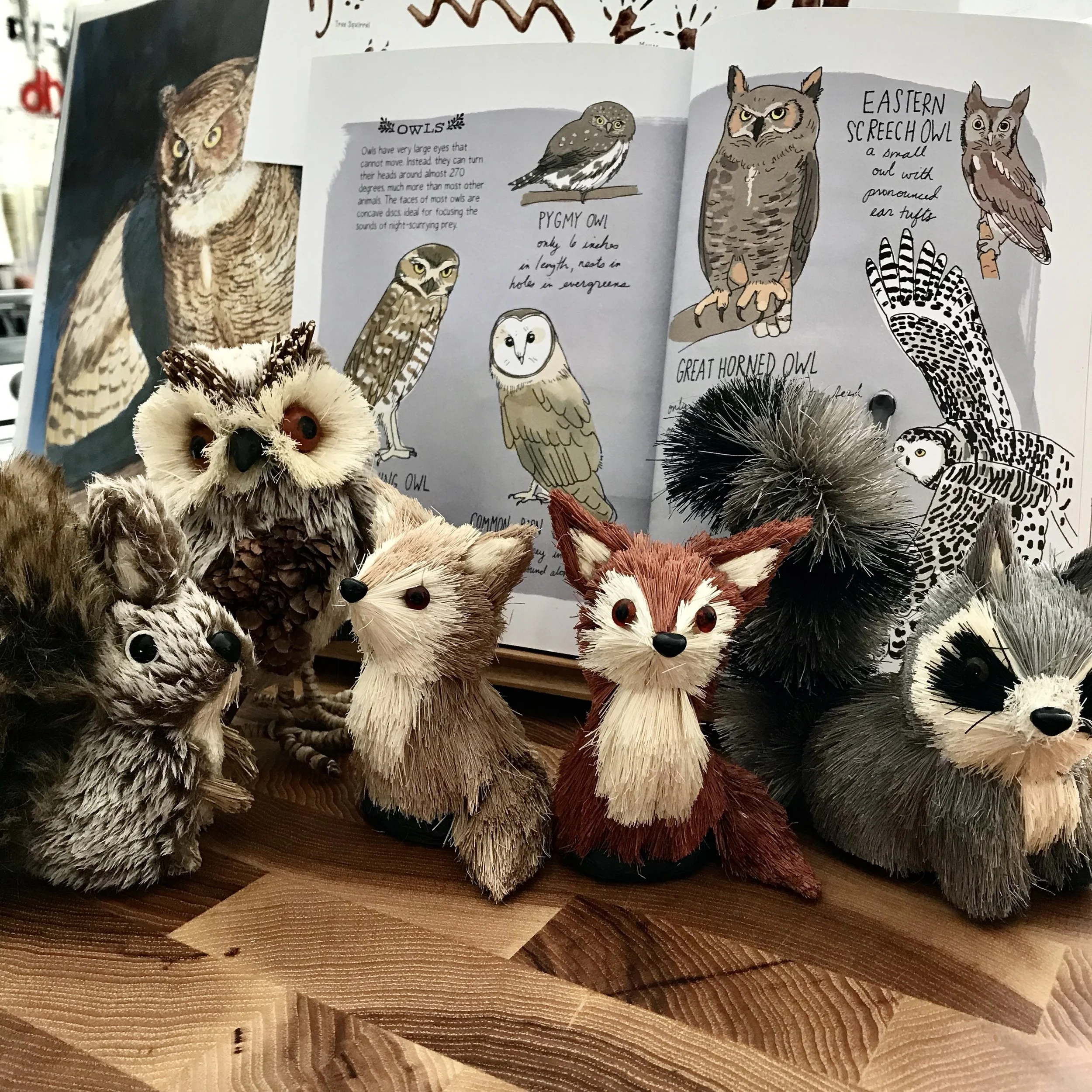 iphone Jan 2019–055.JPG