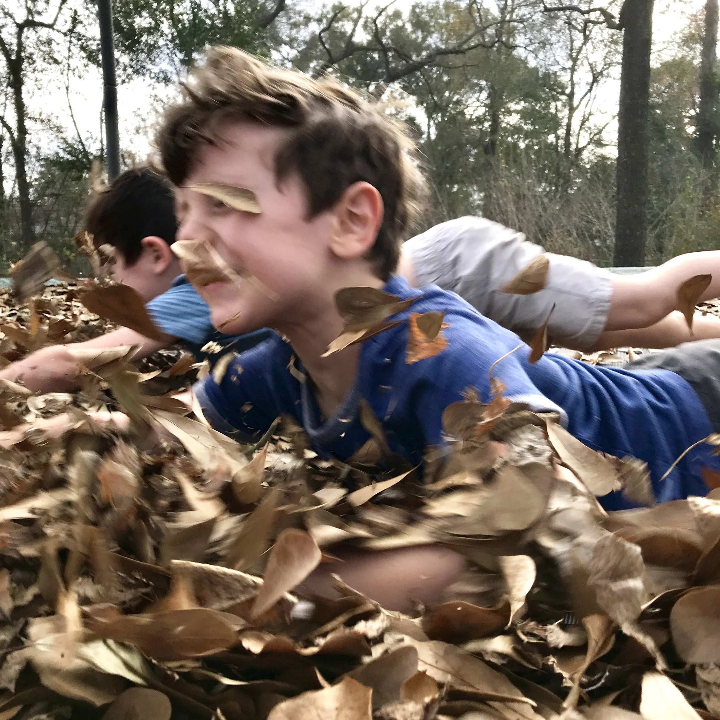 iphone Jan 2019–062.JPG