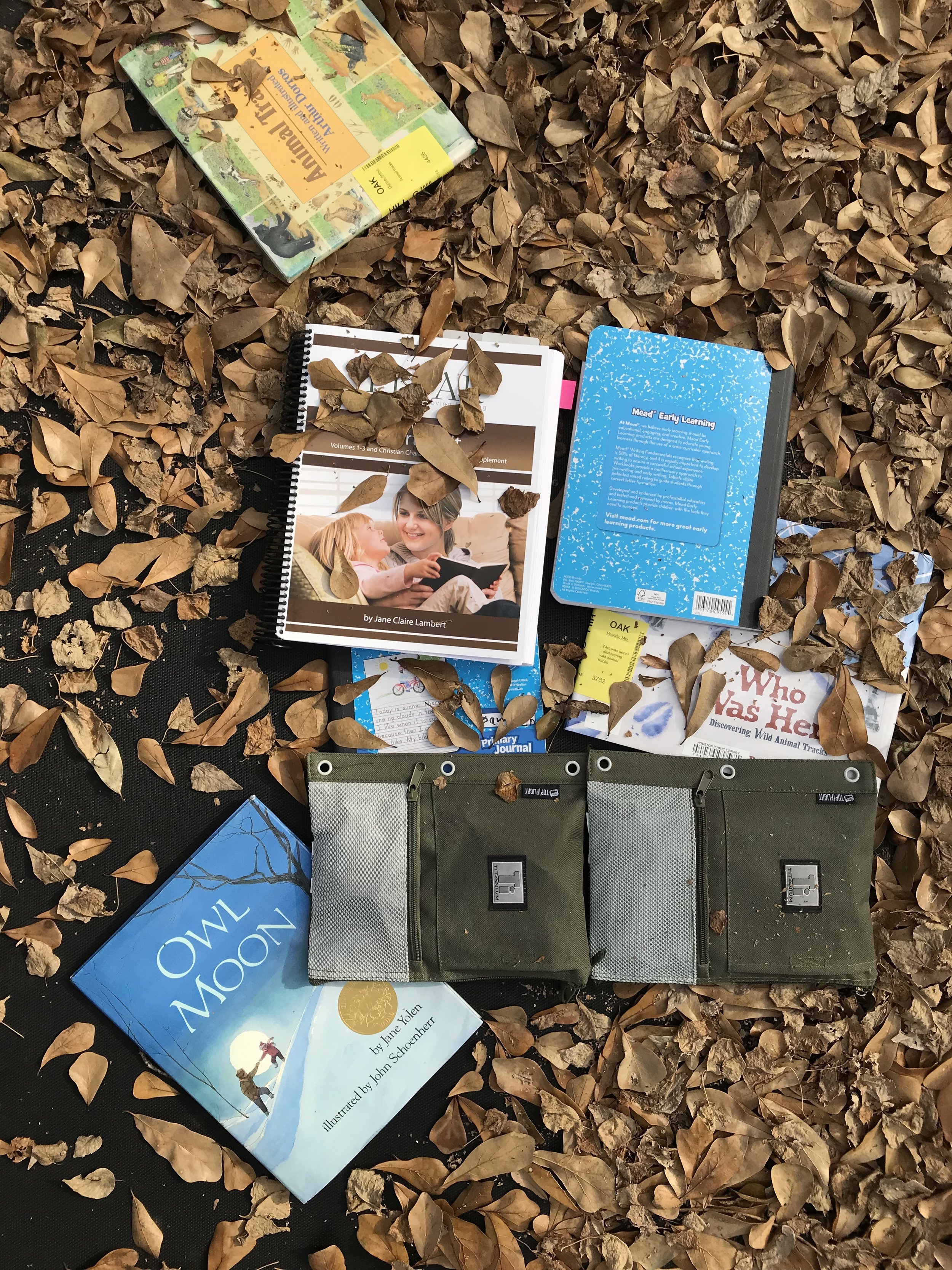 iphone Jan 2019–061.JPG