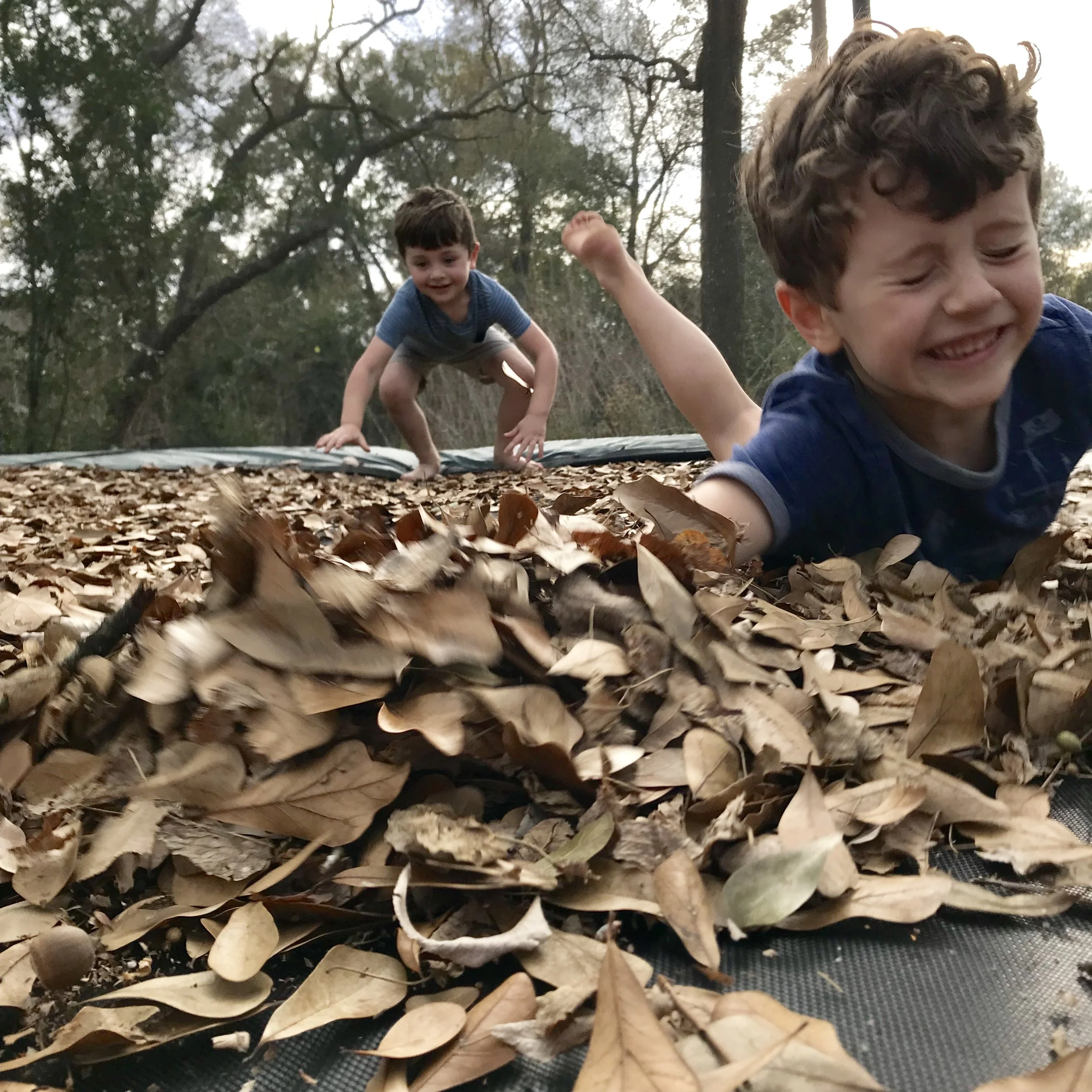 iphone Jan 2019–063.JPG