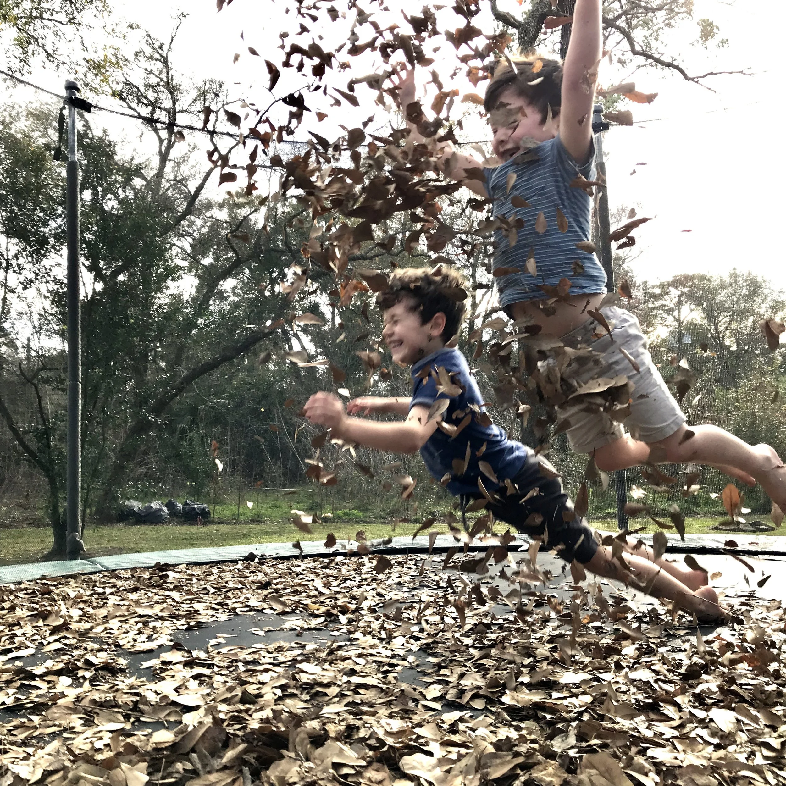 iphone Jan 2019–077.JPG