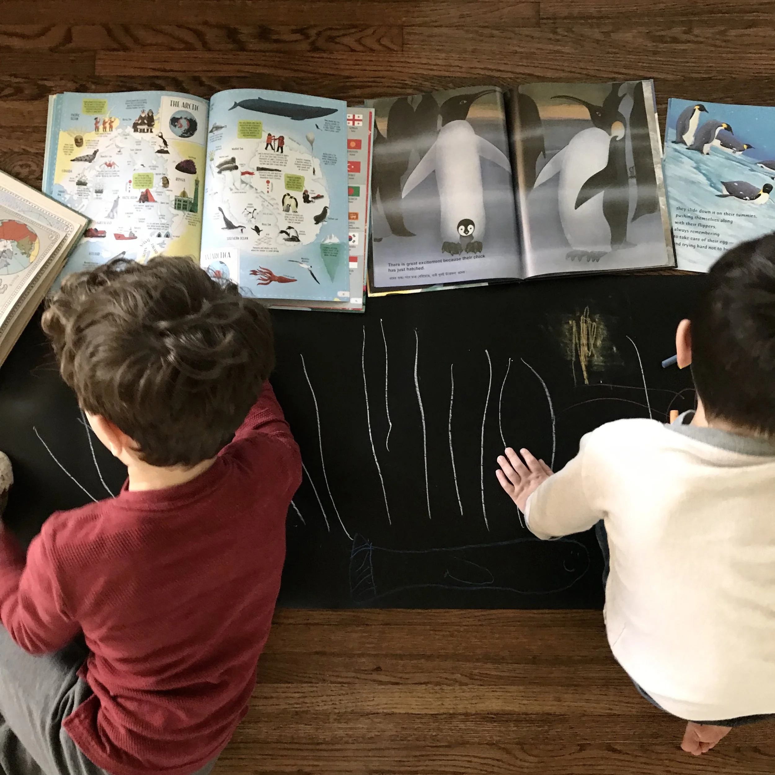 iphone Jan 2019–089.JPG