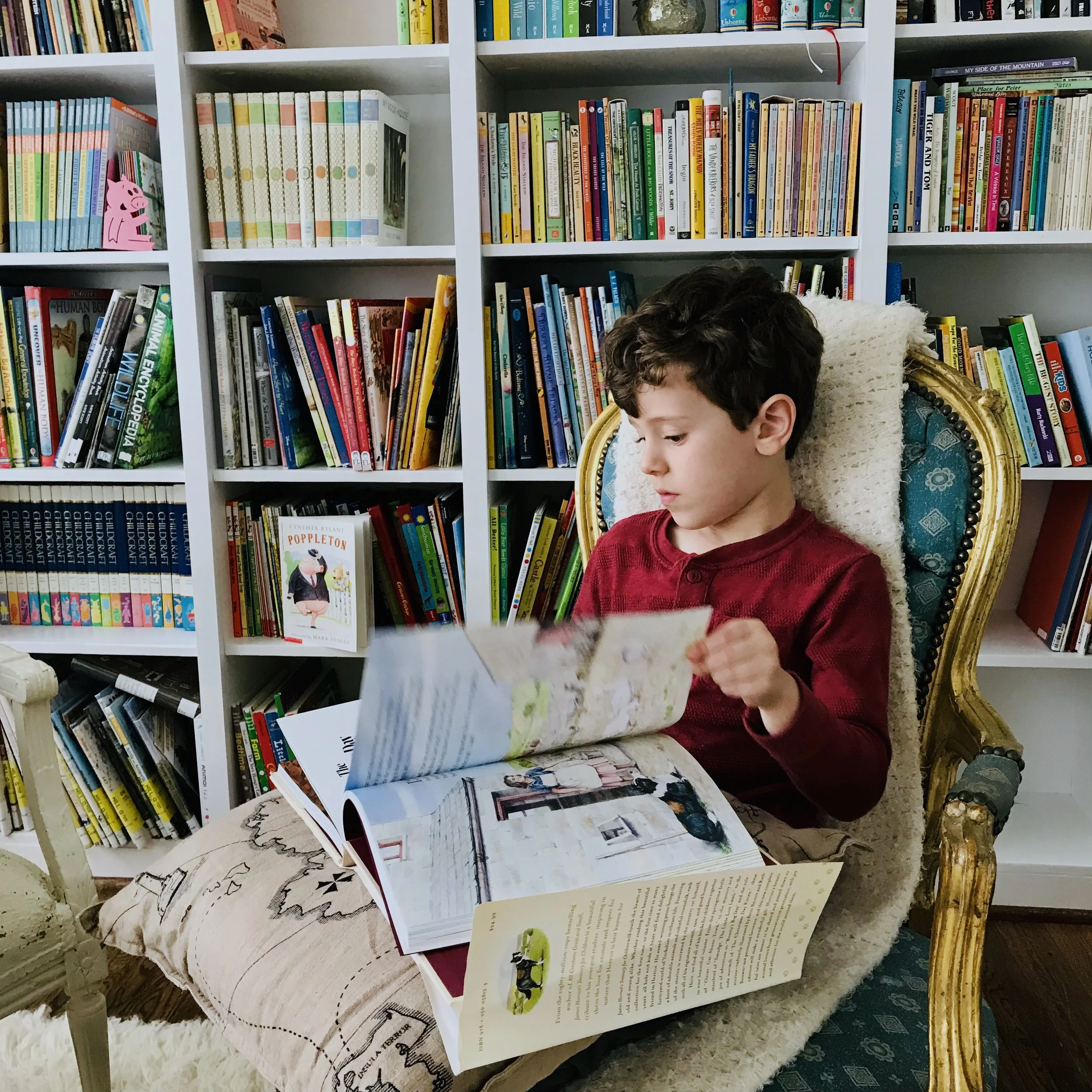 iphone Jan 2019–094.JPG