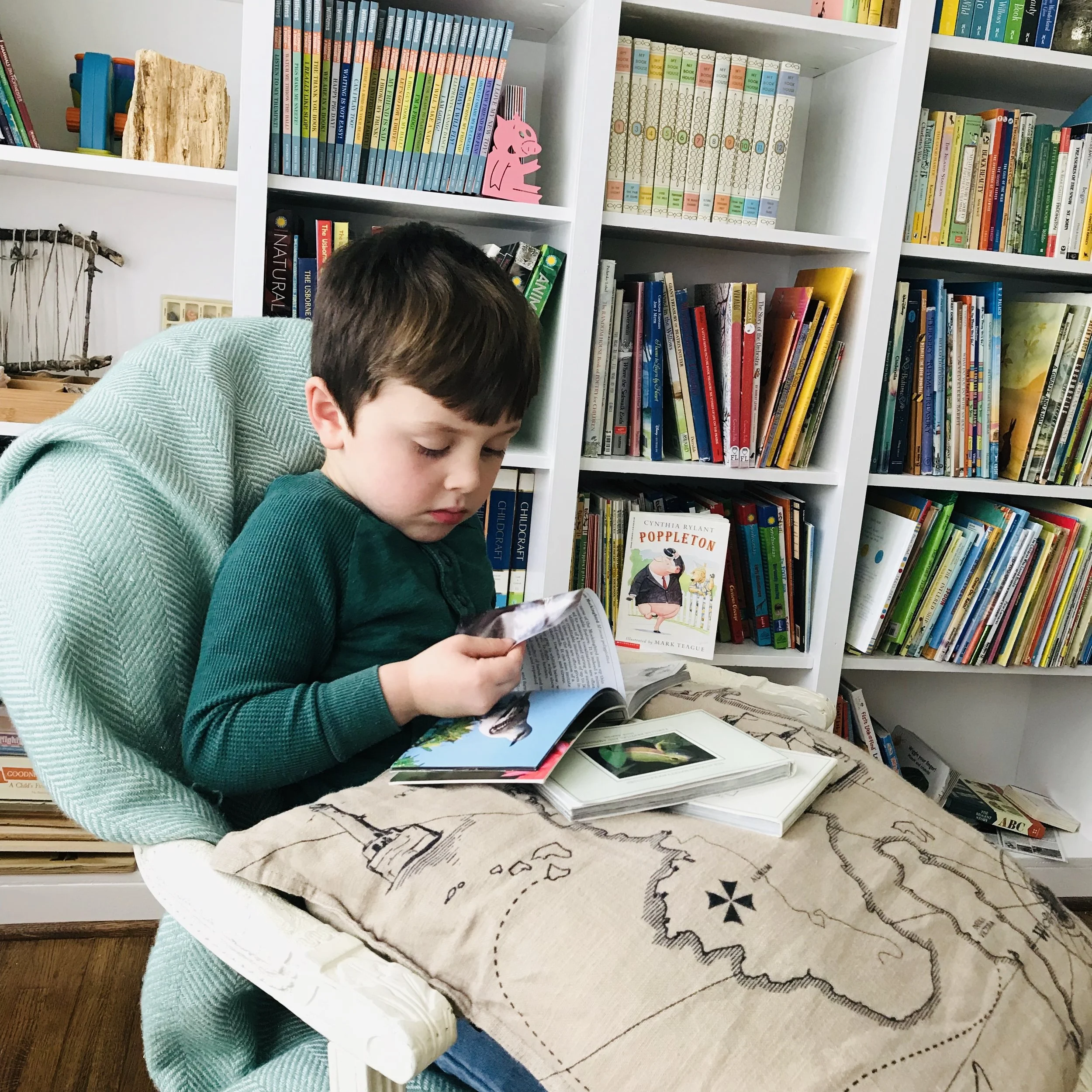 iphone Jan 2019–095.JPG