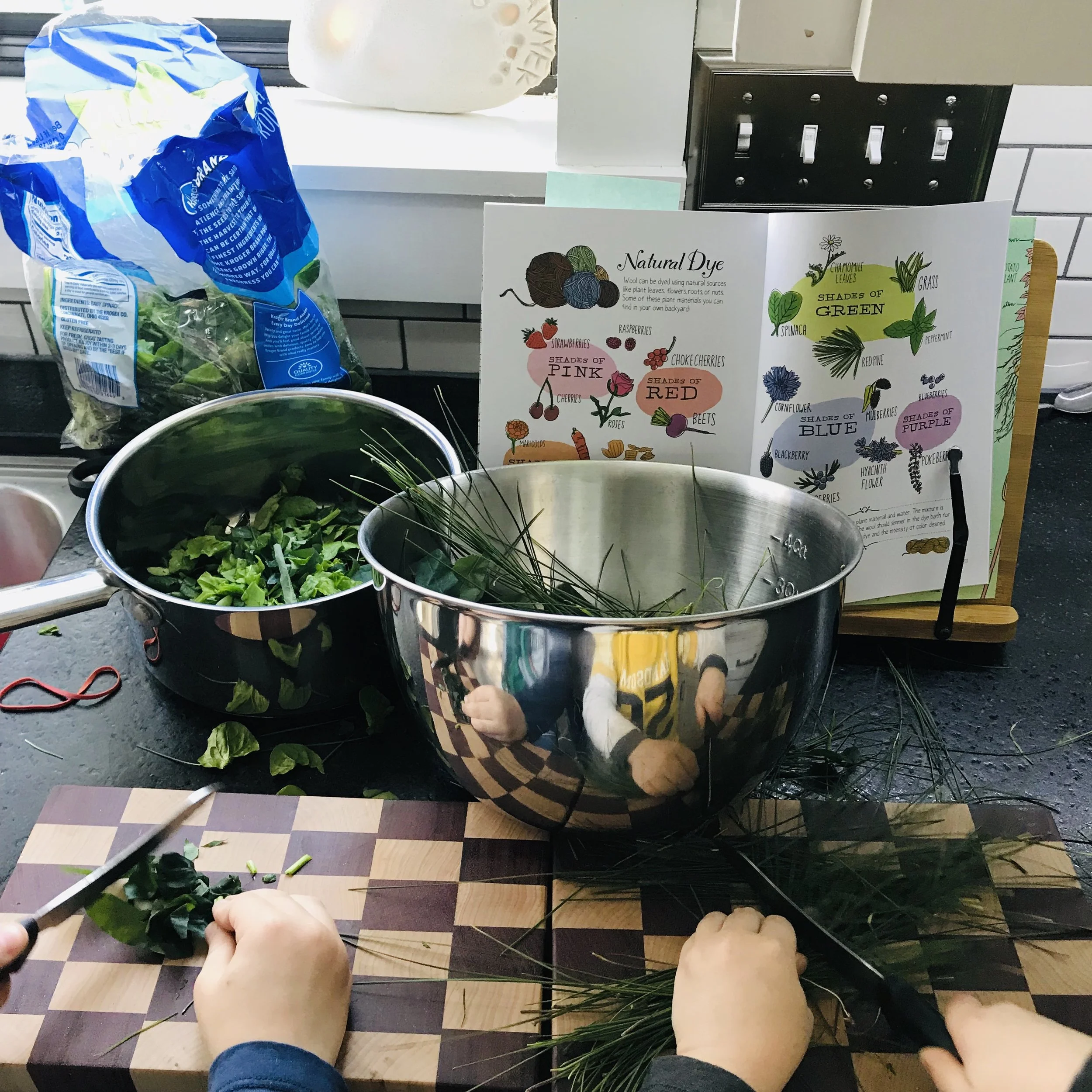 iphone Jan 2019–098.JPG
