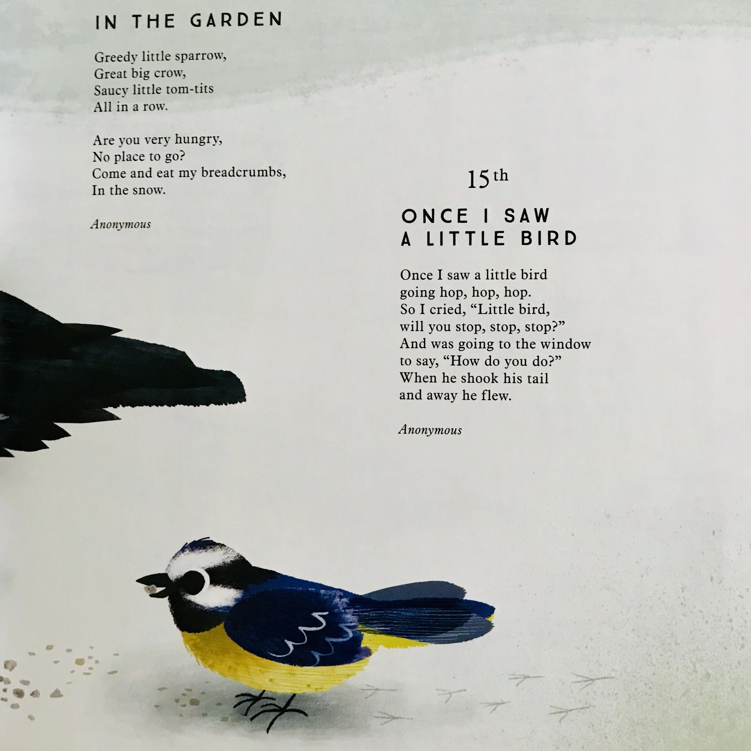 iphone Jan 2019–117.JPG