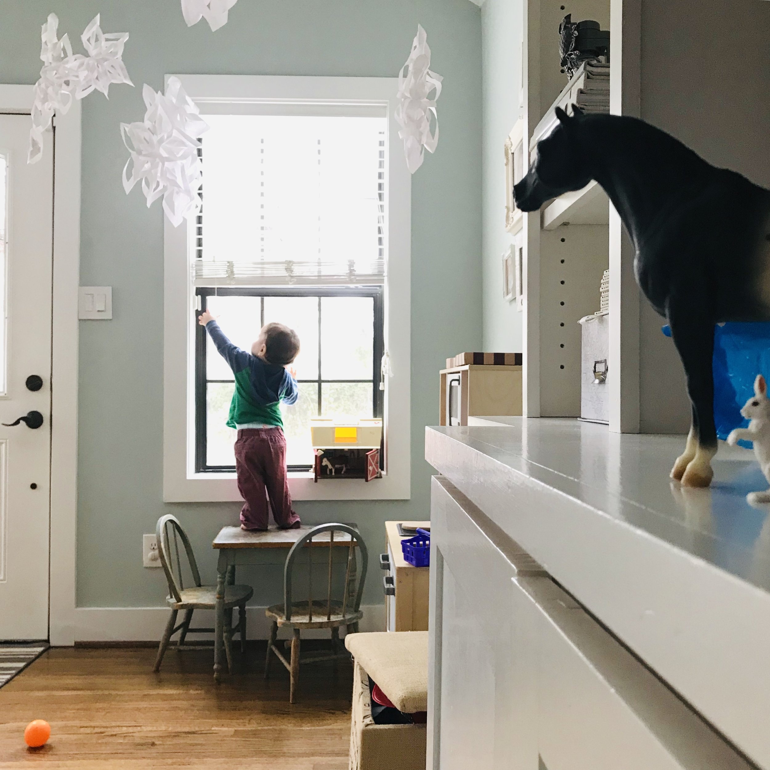 iphone Jan 2019–132.JPG