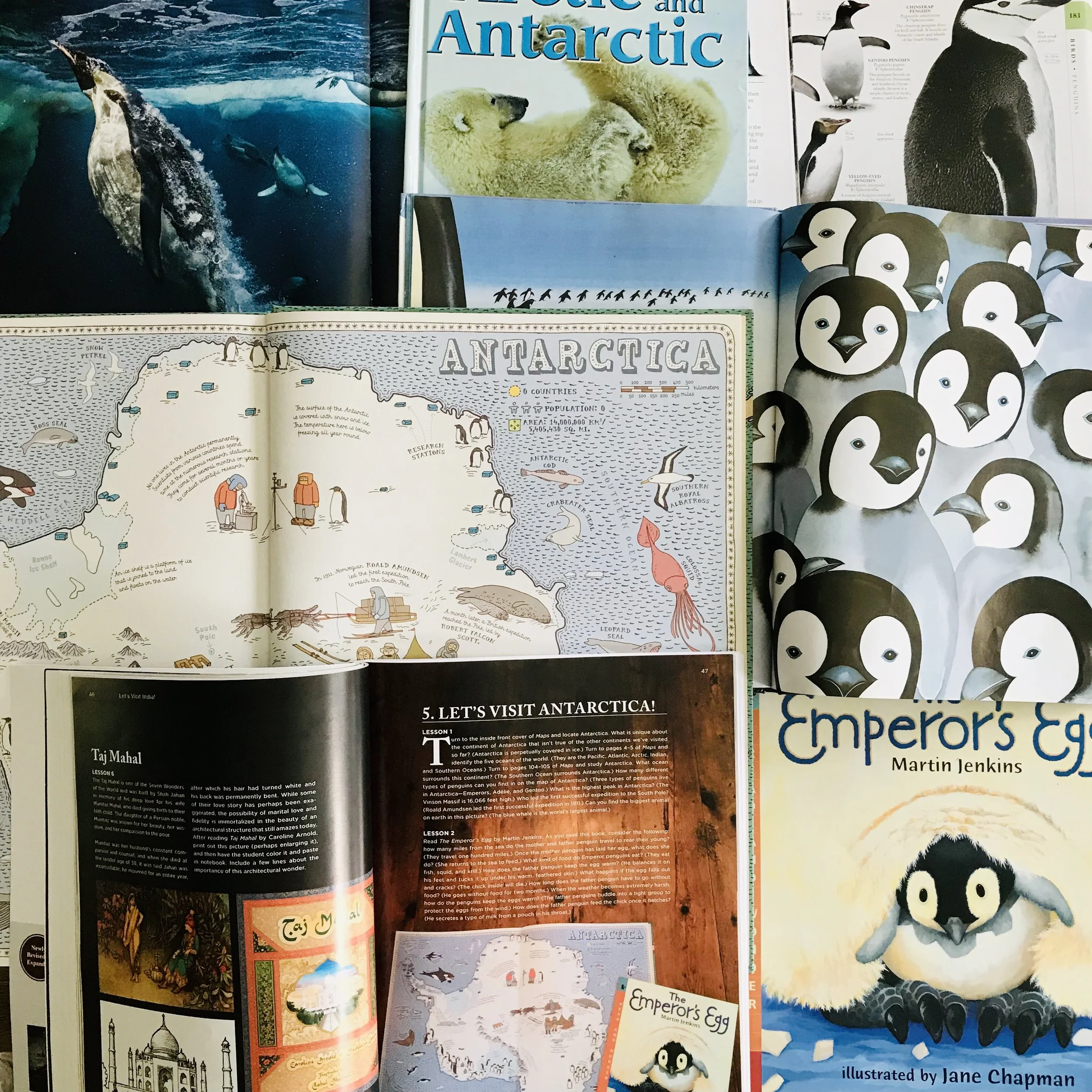iphone Jan 2019–134.JPG