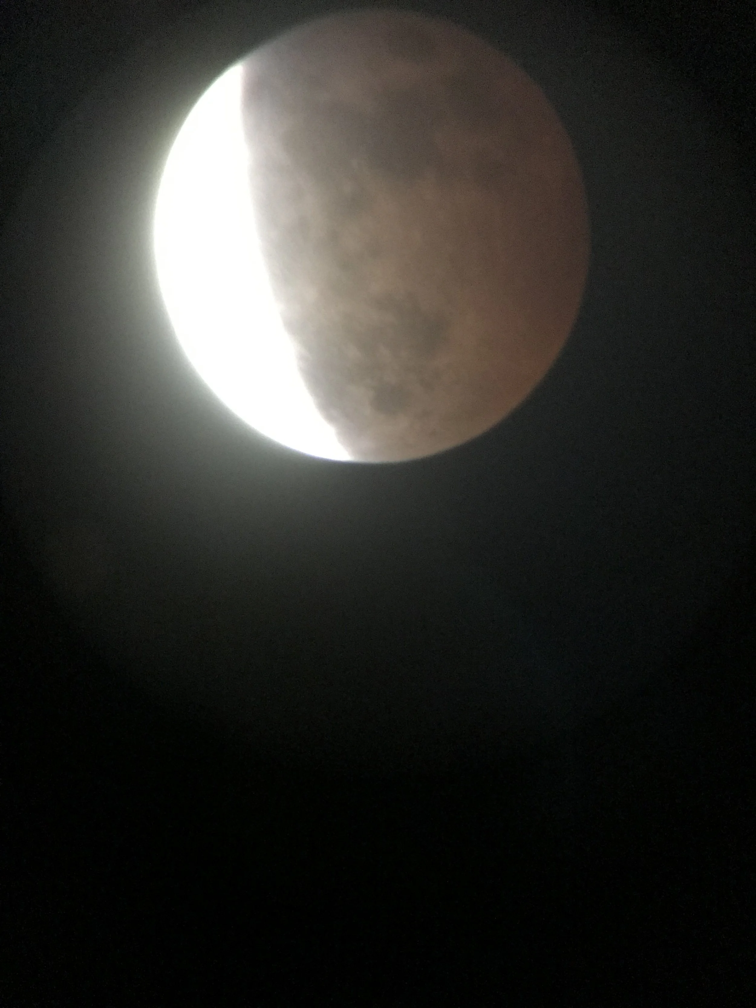 iphone Jan 2019–138.JPG