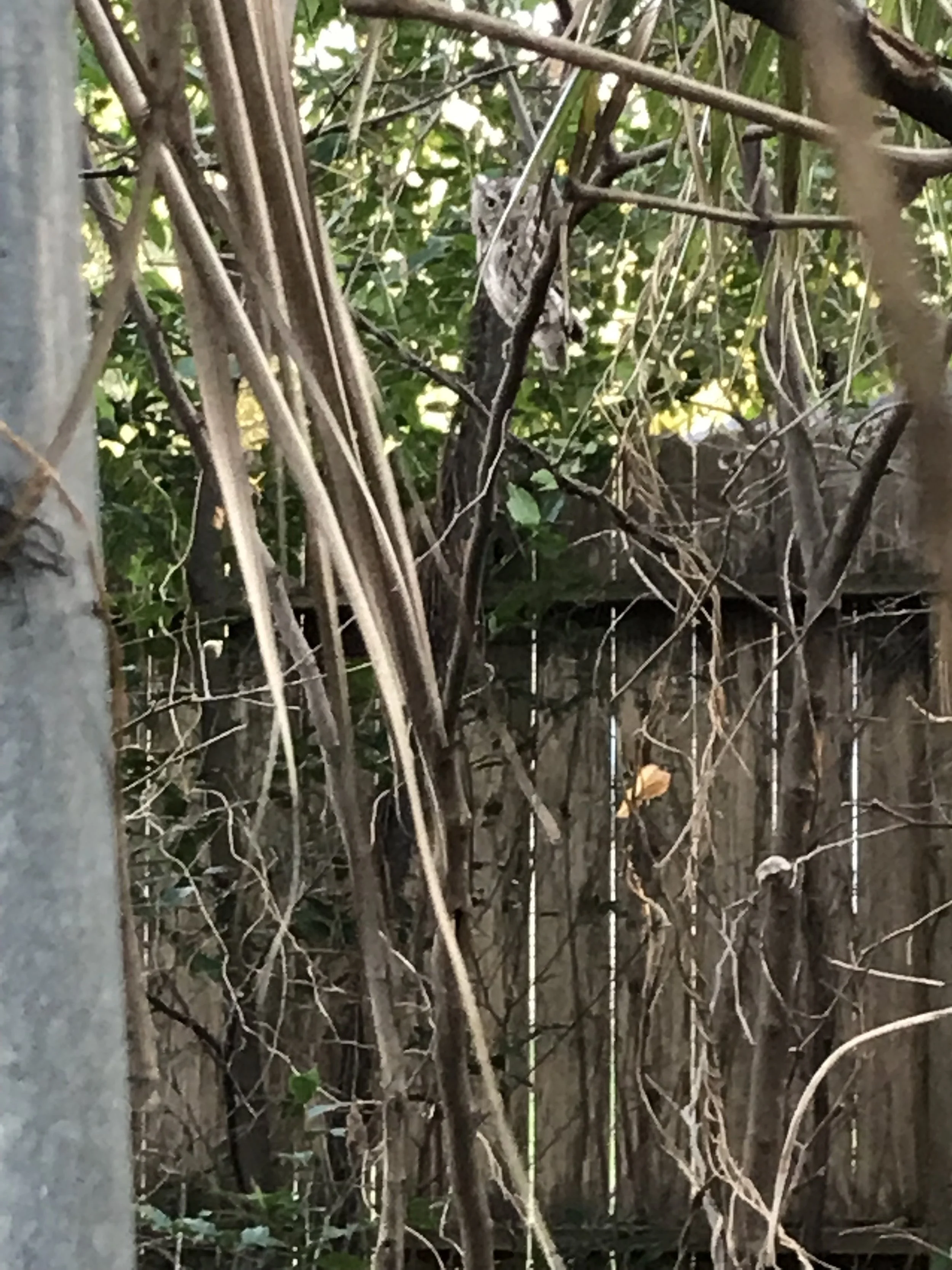 iphone Jan 2019–148.JPEG