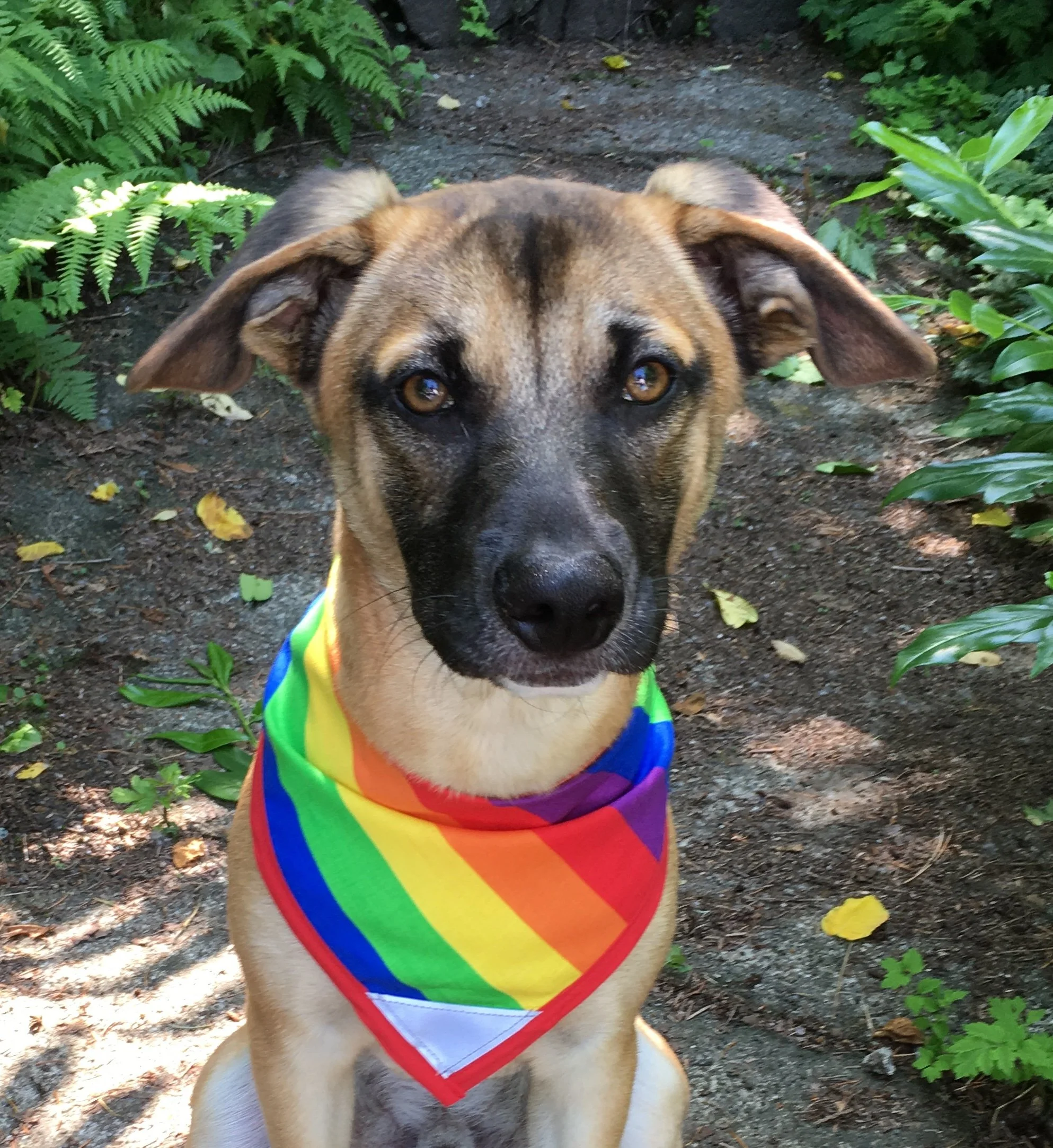 PRIDE Flag - Pettee (Flipped).jpg