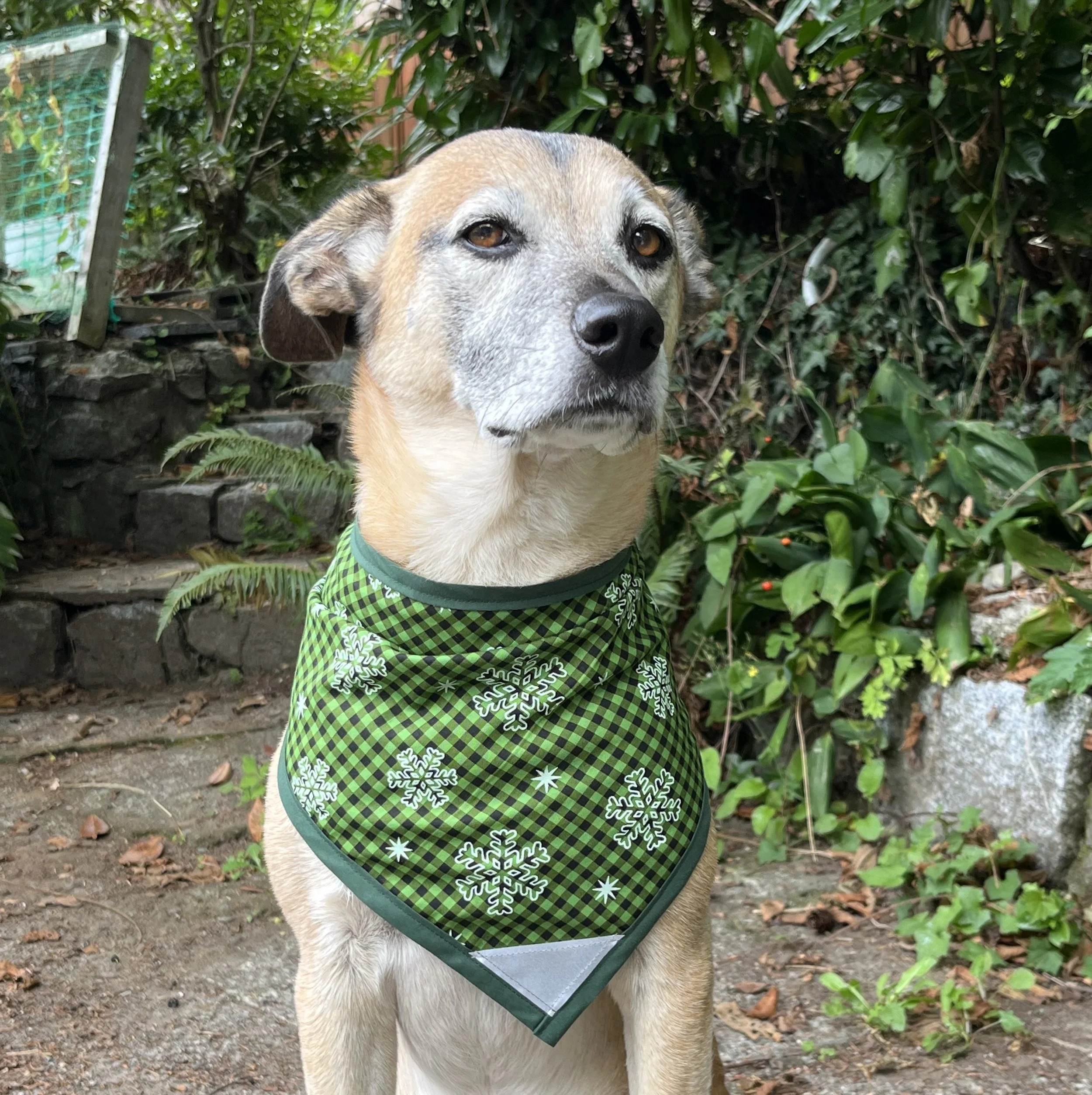 Green Plaid Snow - P.jpg