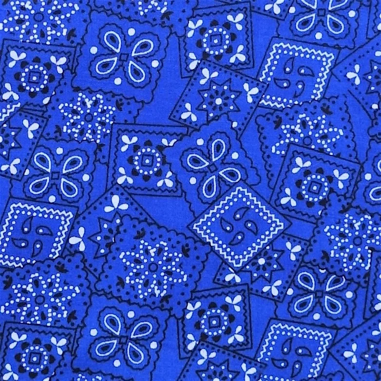 Western (Blue) (Inset).jpg