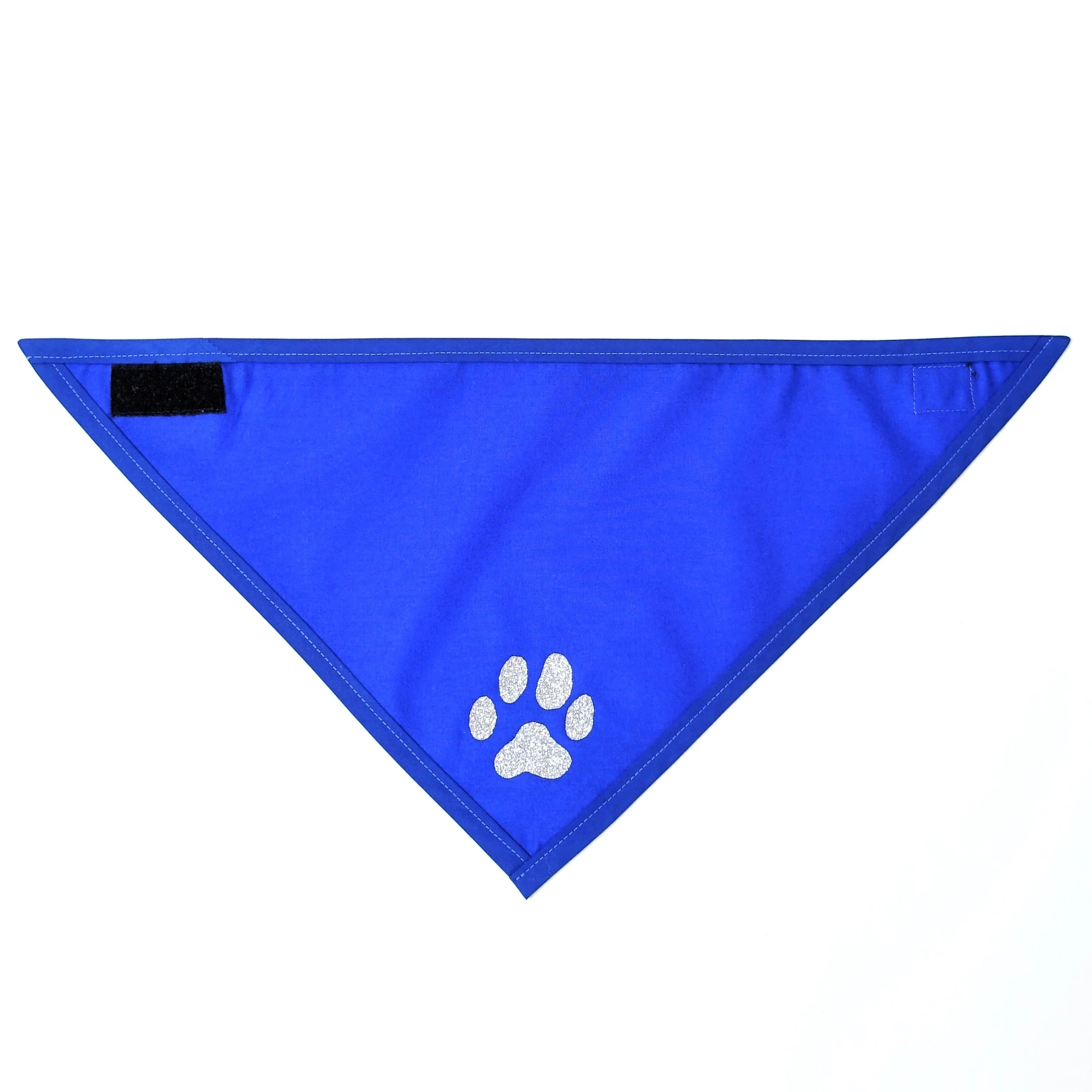 Sparkle PAW Blue (Silver).JPG