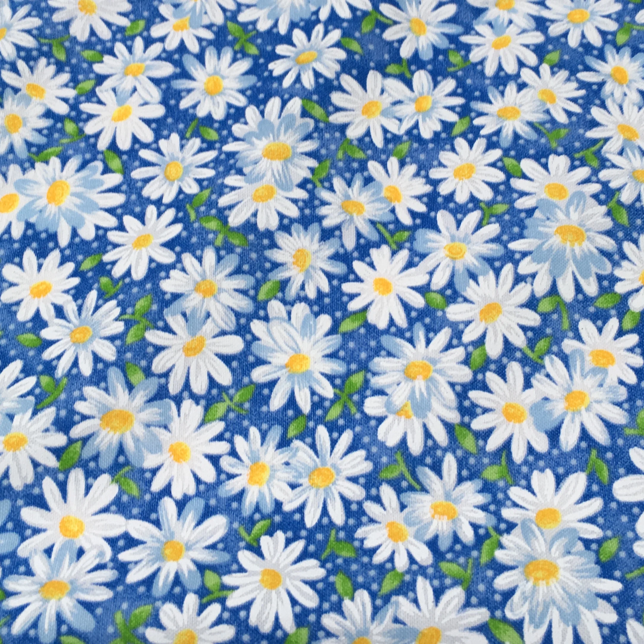 DAISY - Blue (Inset).JPG