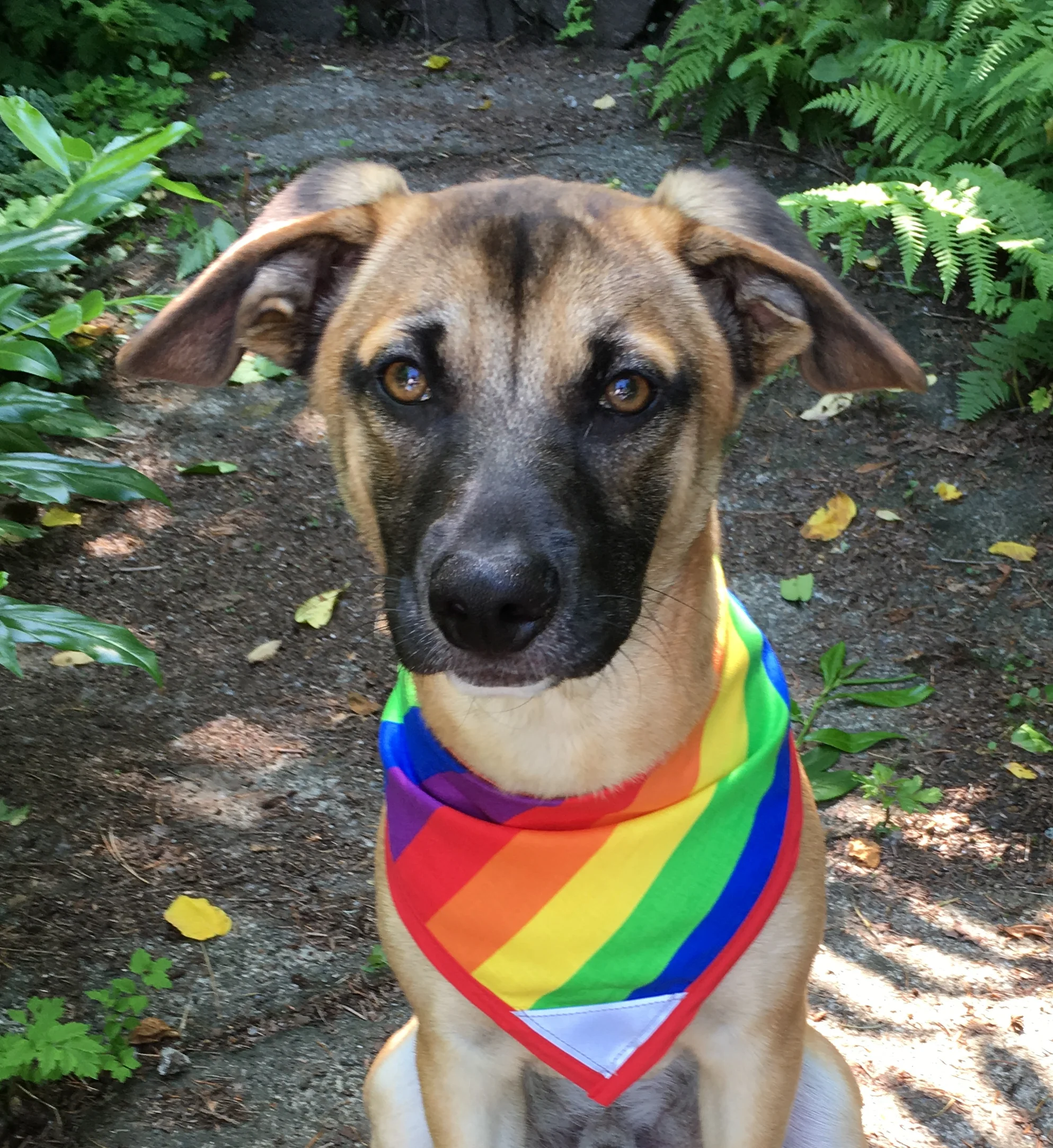 PRIDE Flag - Pettee.jpg