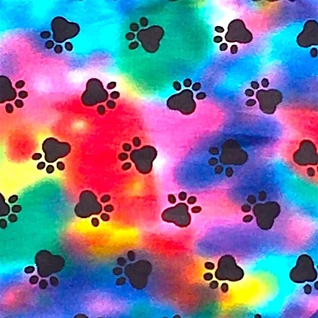 Rainbow Paws (Inset).JPG