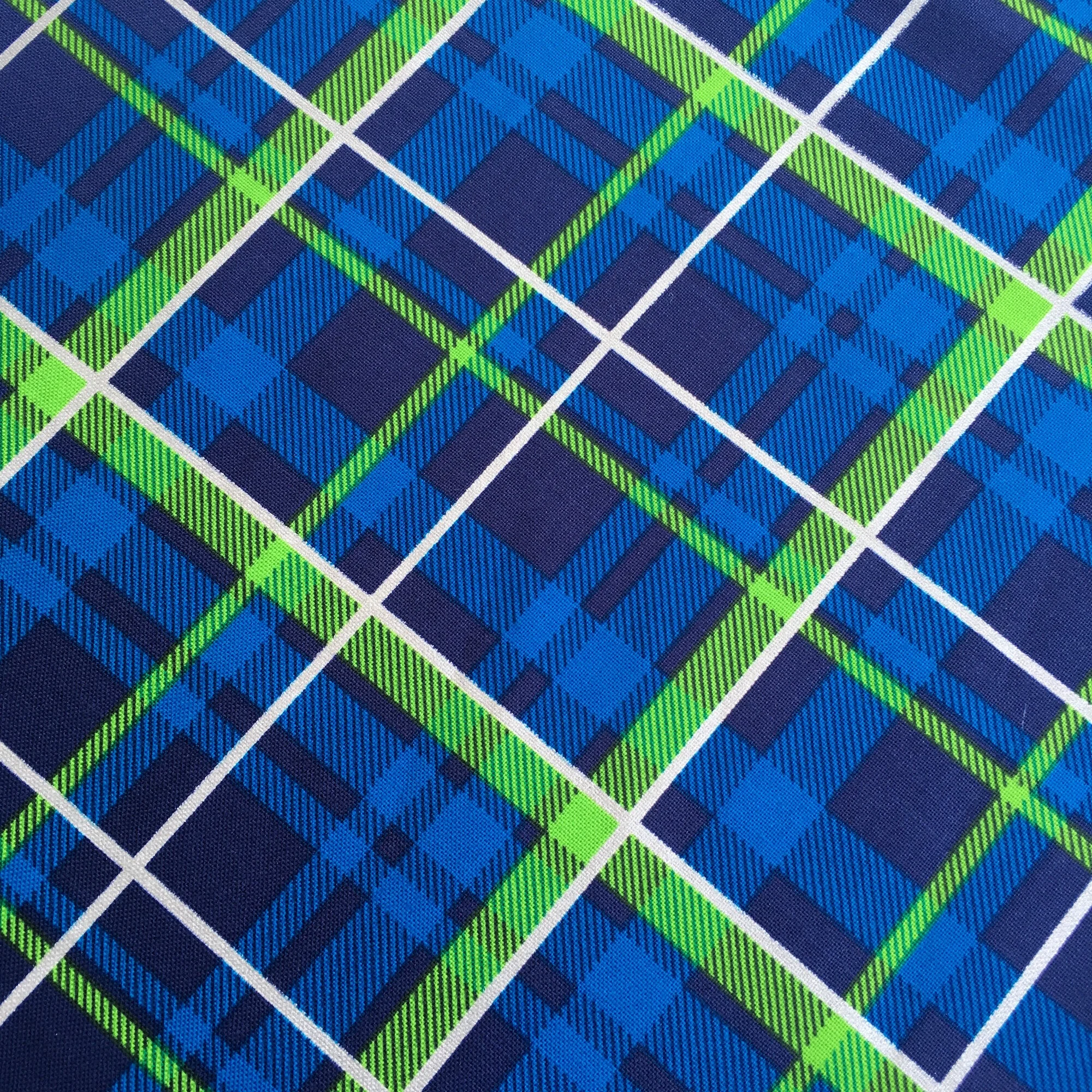 Blue Plaid (Inset).JPG