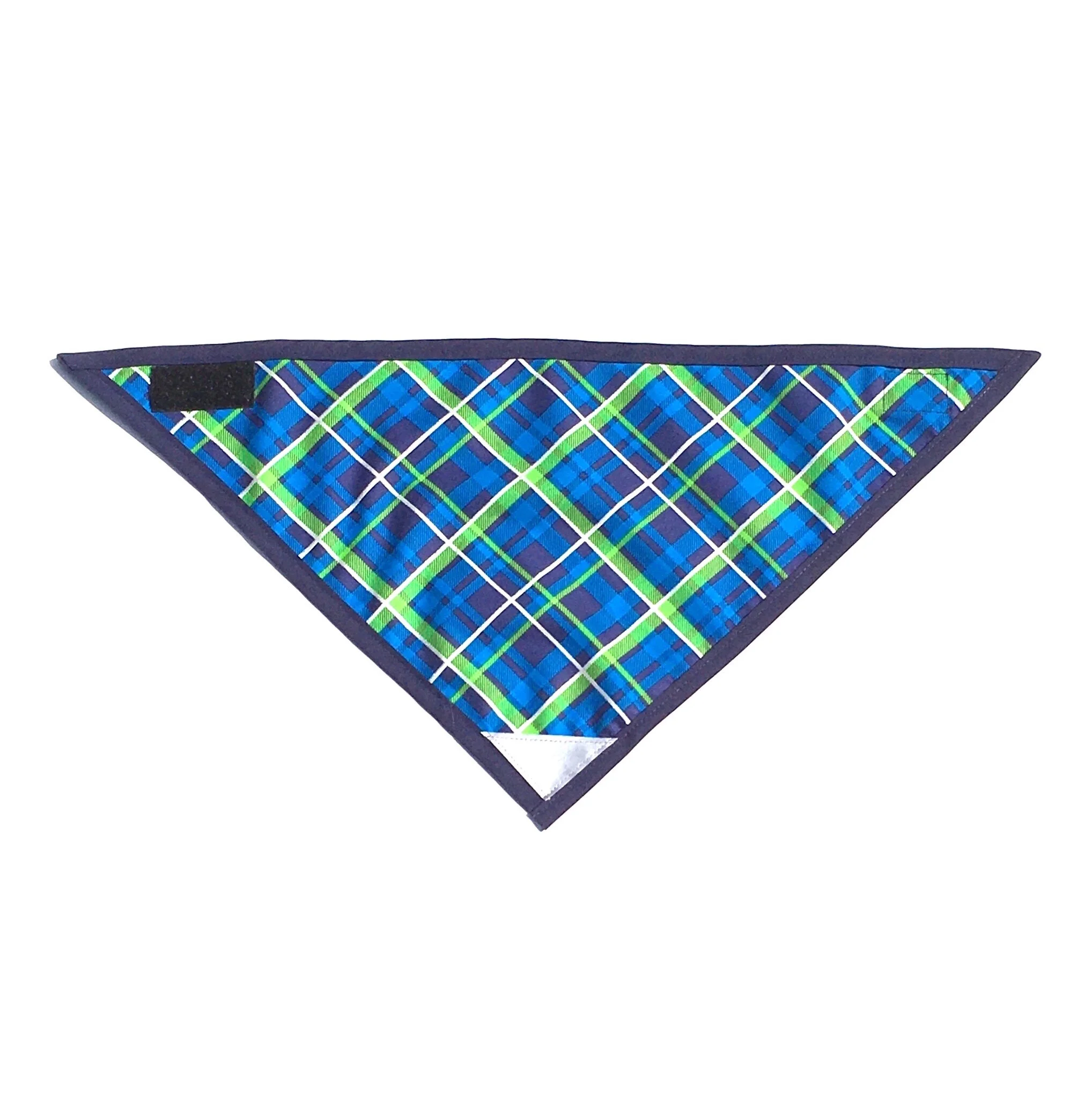 Blue Plaid.JPG
