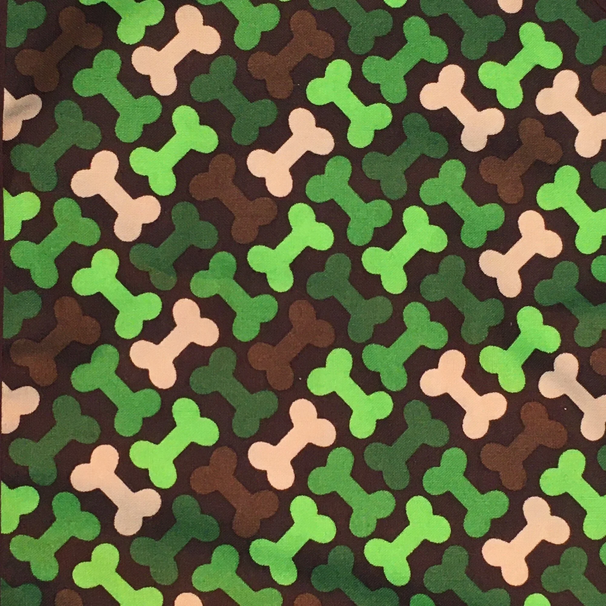 Camo Bones (Inset).JPG