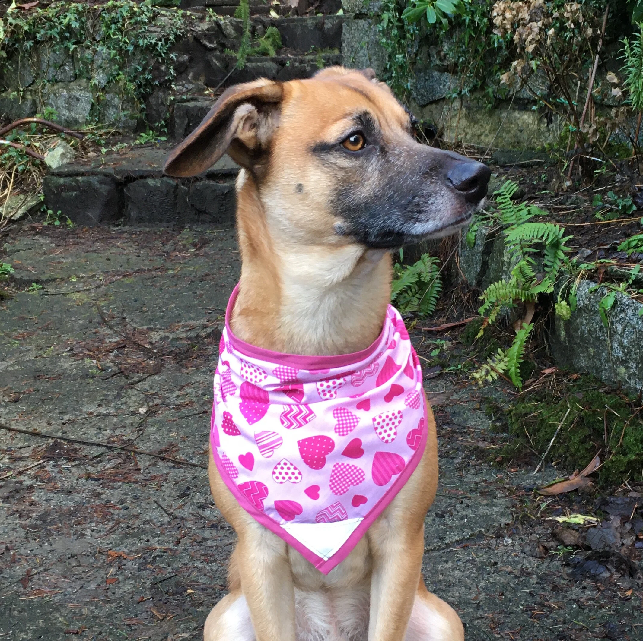 Patterned Hearts - PetteeJPG.JPG