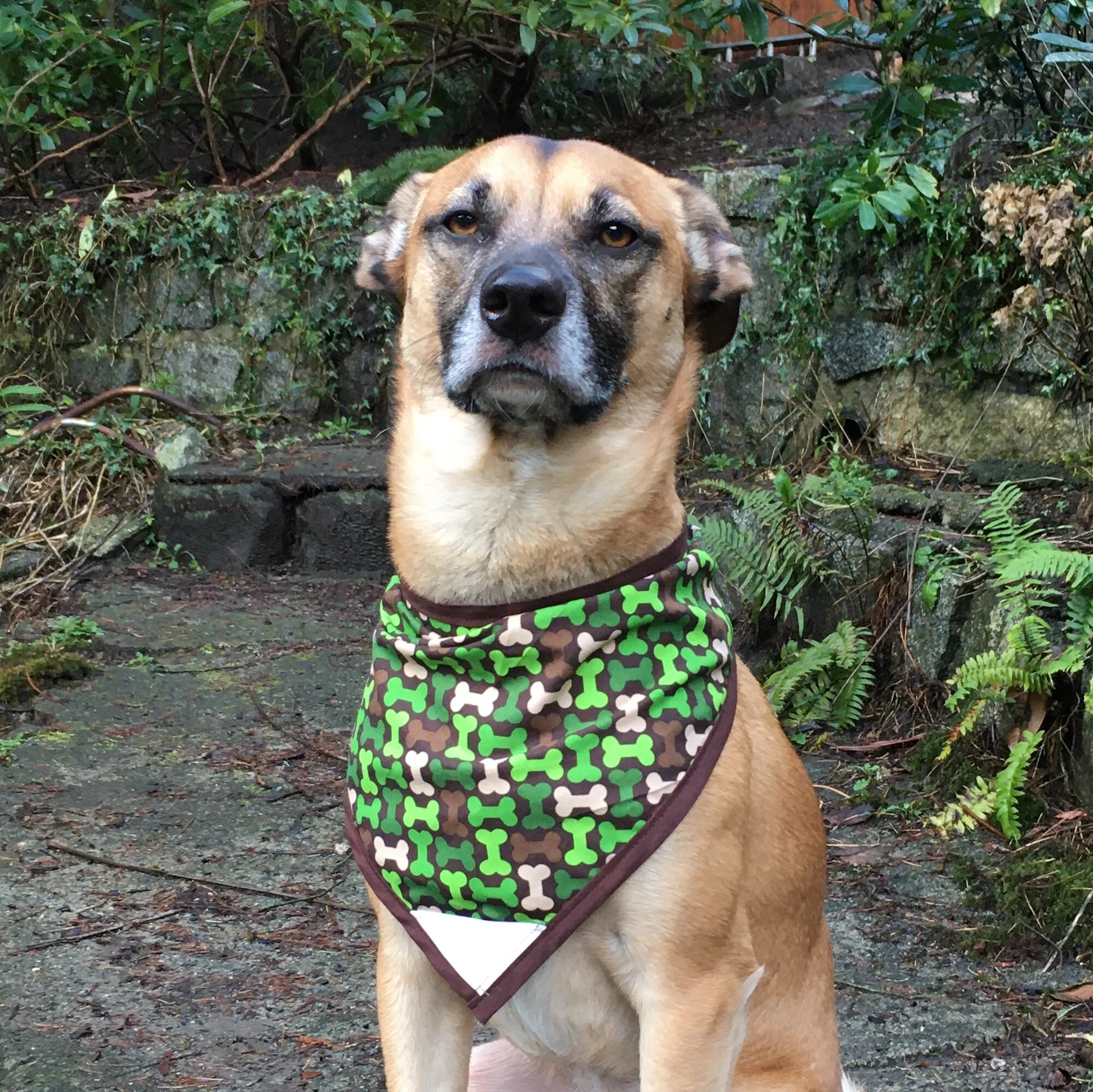 Camo Bones - Pettee.JPG