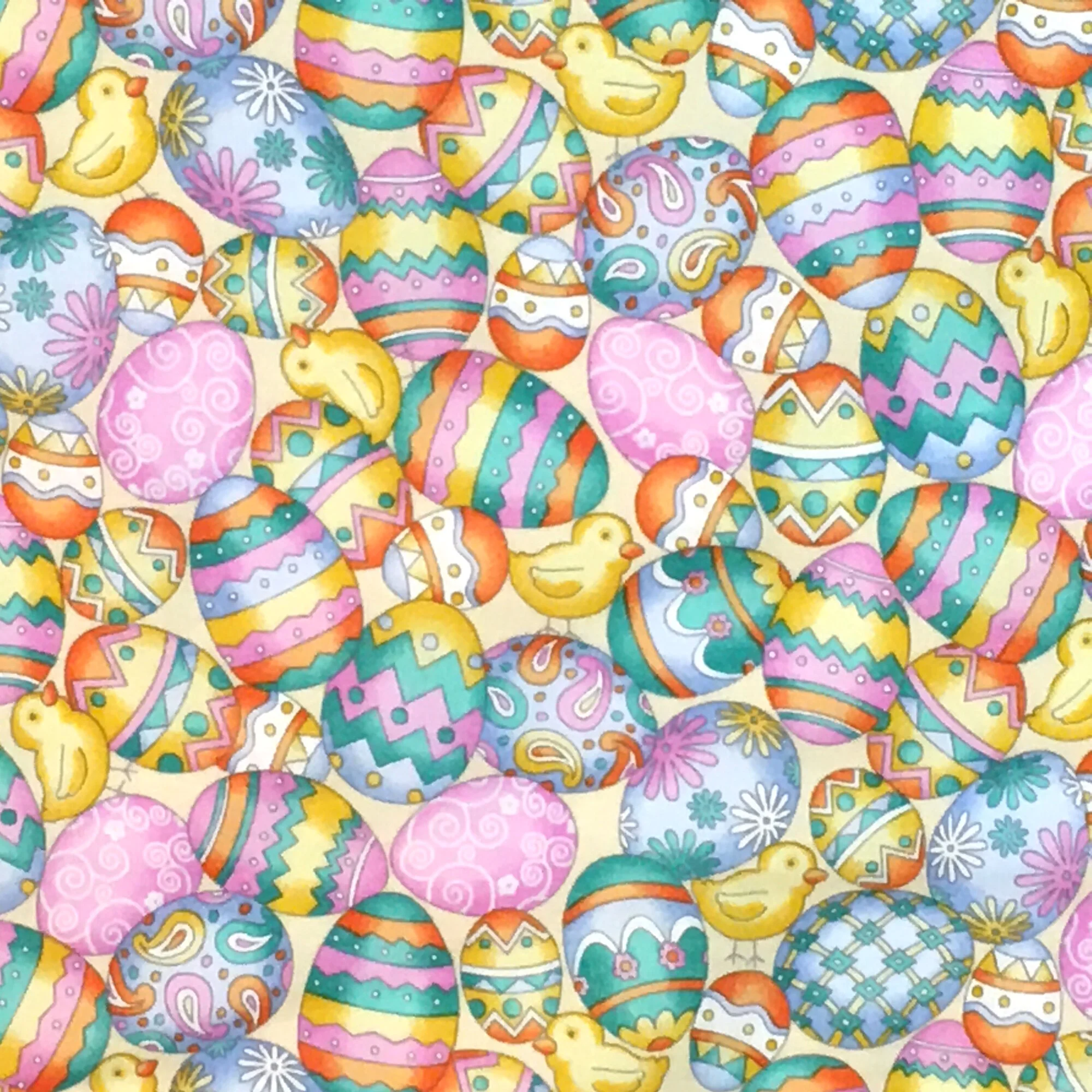 Chicks and Eggs (Inset).JPG