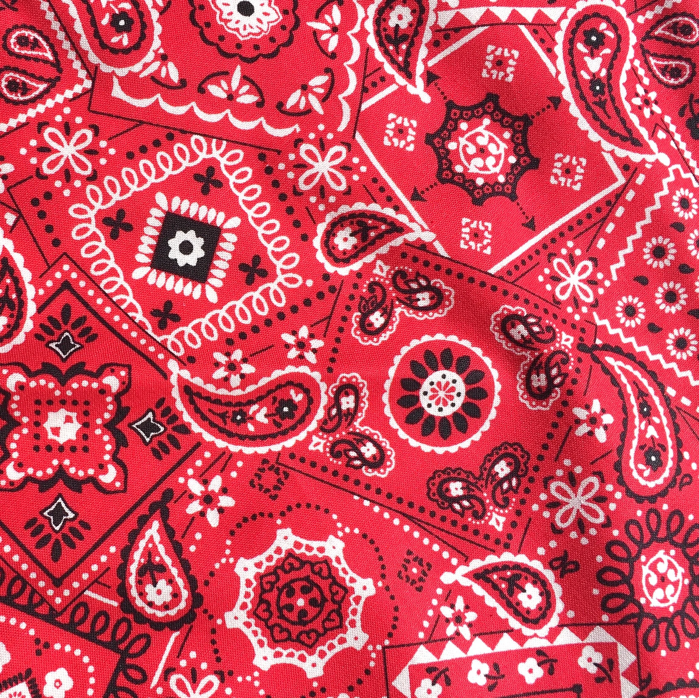 Red Western2 (Inset).JPG