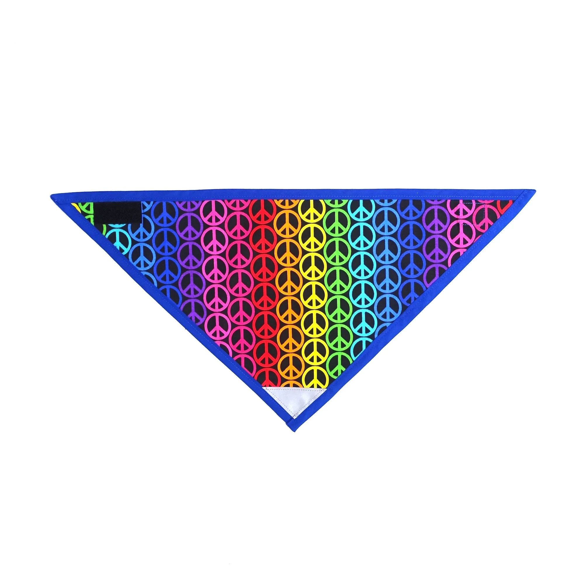 Peace Pride.jpg