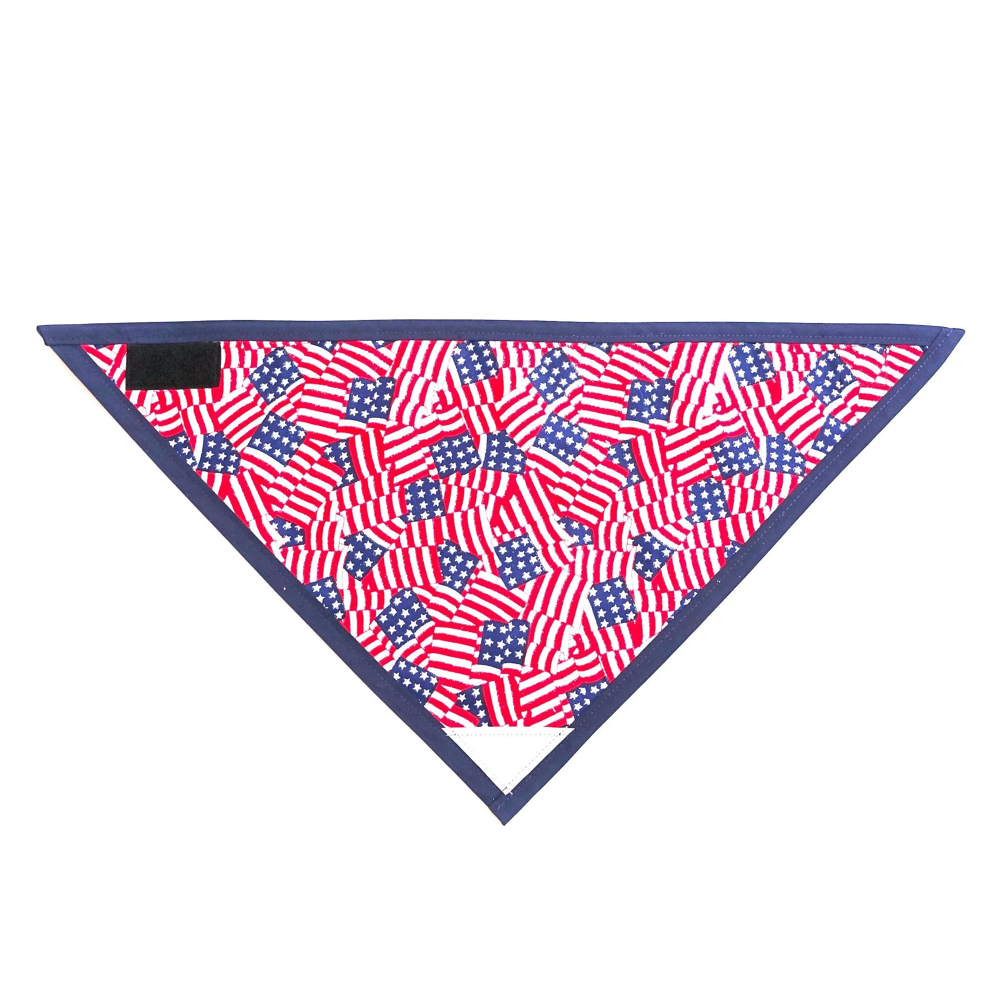 Shiny Stars and Stripes.JPG